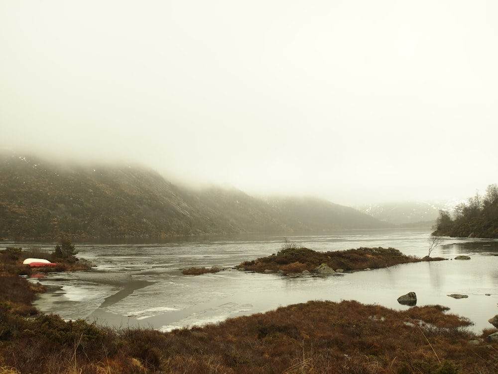 a body of water surrounded by a forest