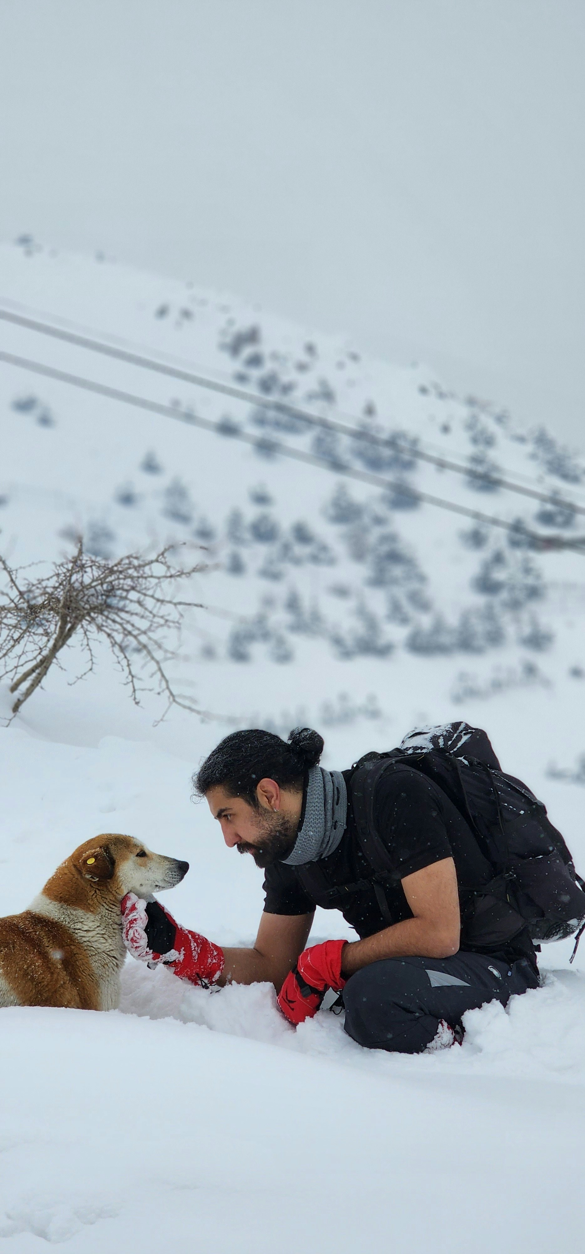 a man kneeling down next to a dog in the snow