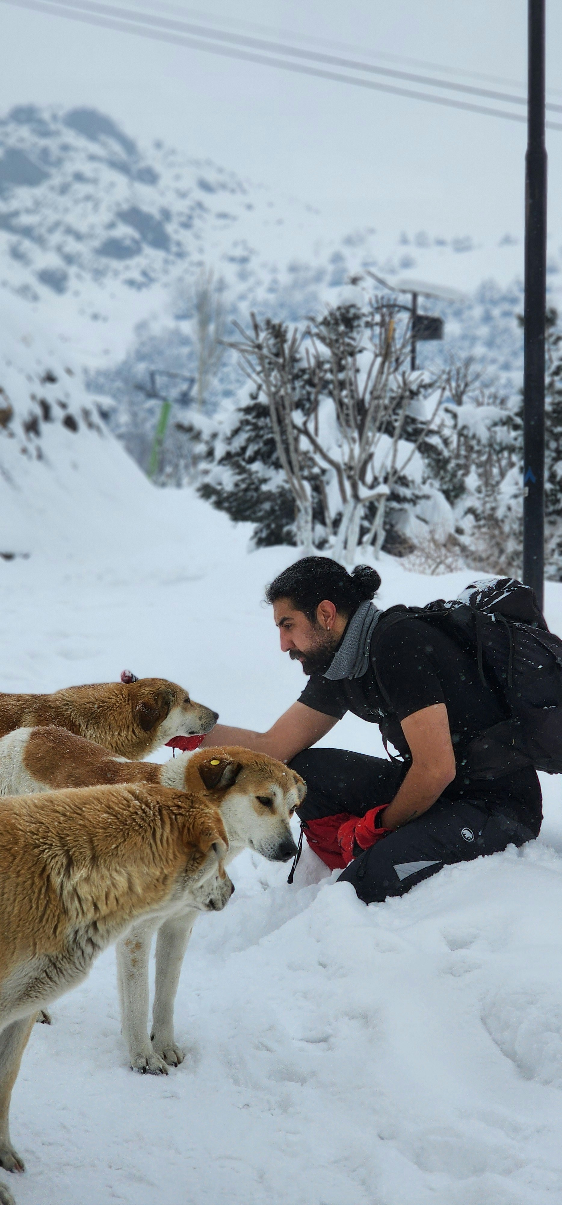a man kneeling down next to two dogs in the snow