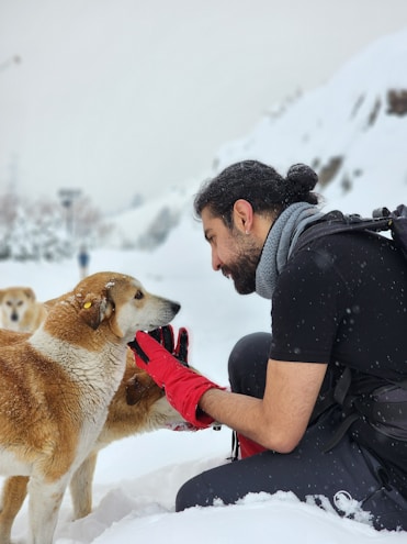 a man kneeling down next to a brown and white dog