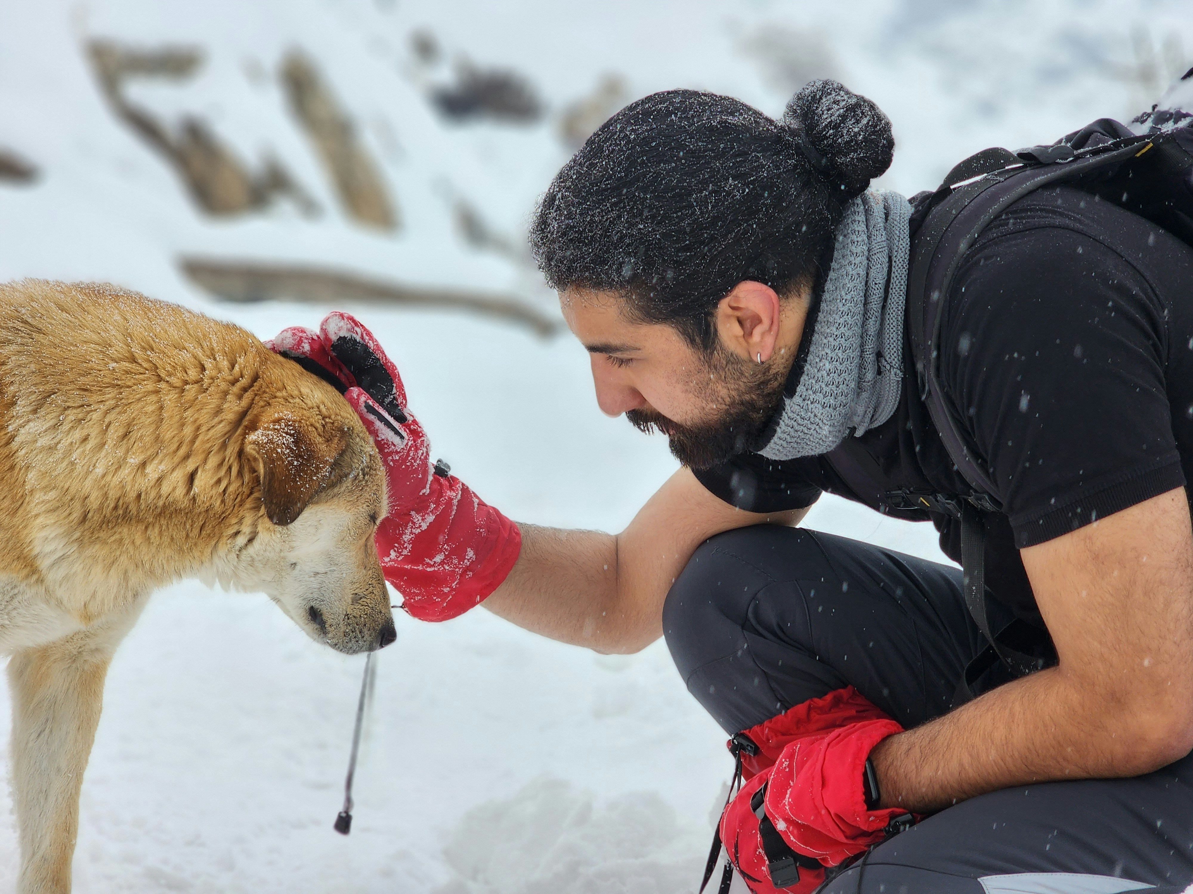 a man petting a dog in the snow