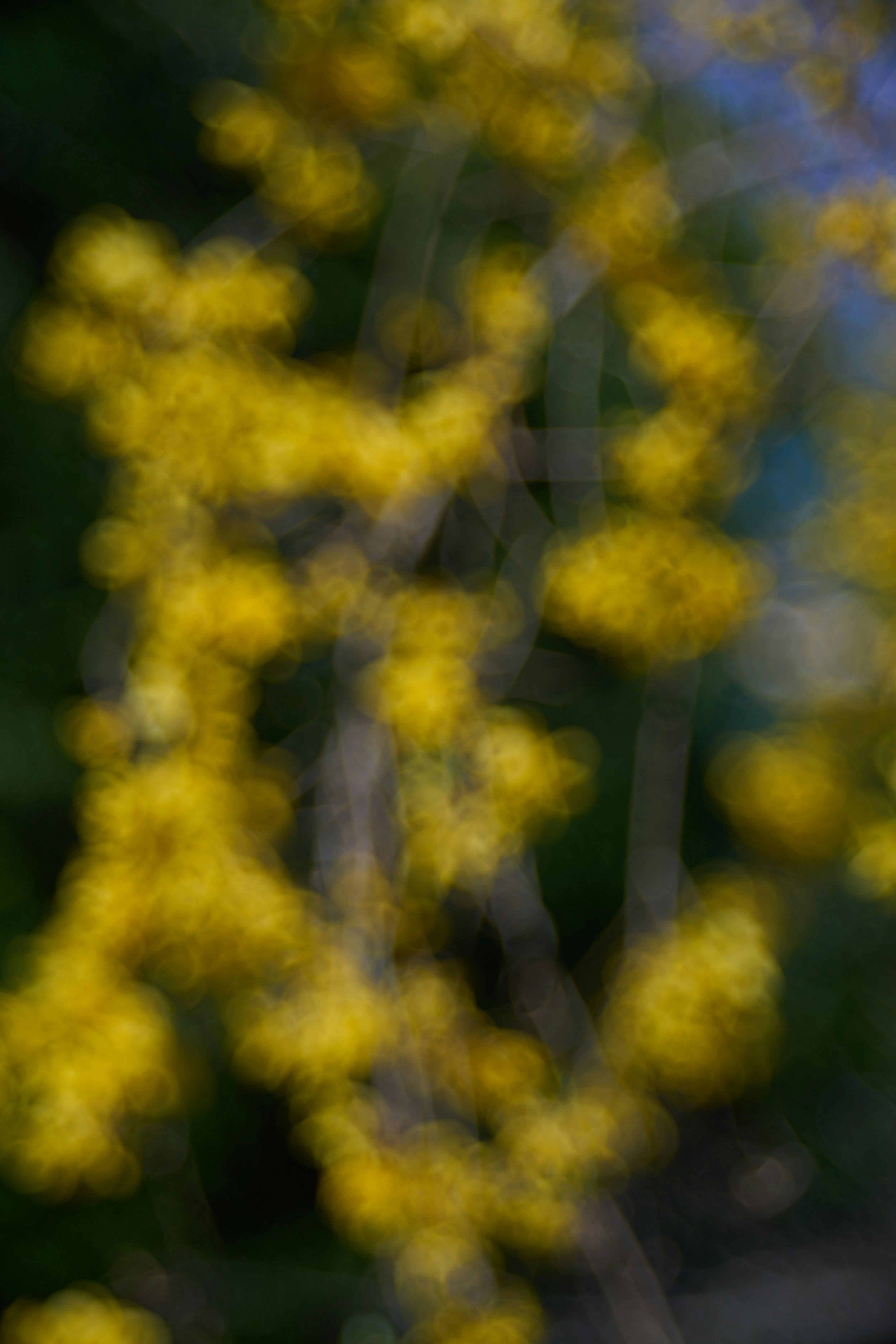 Photo by wolfgang_hasselmann