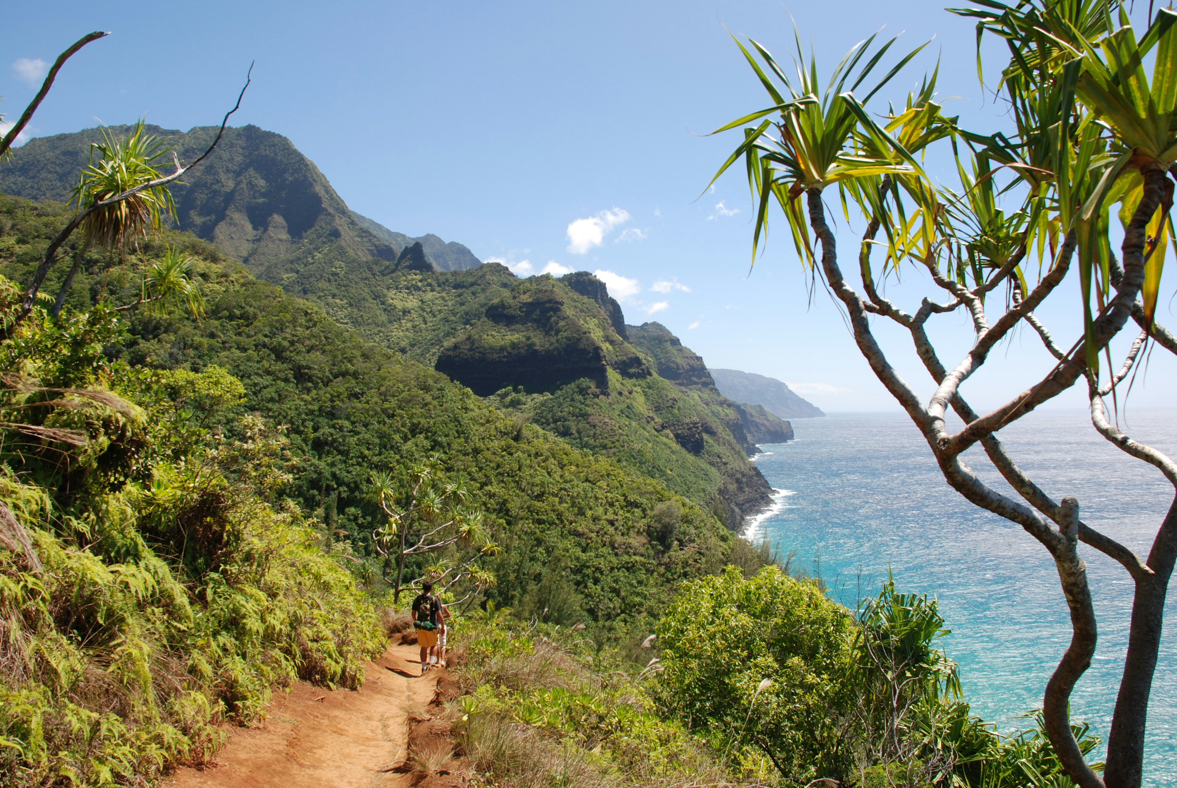 a dirt path leading to the ocean on a sunny day, Nā Pali Coast State Wilderness Park