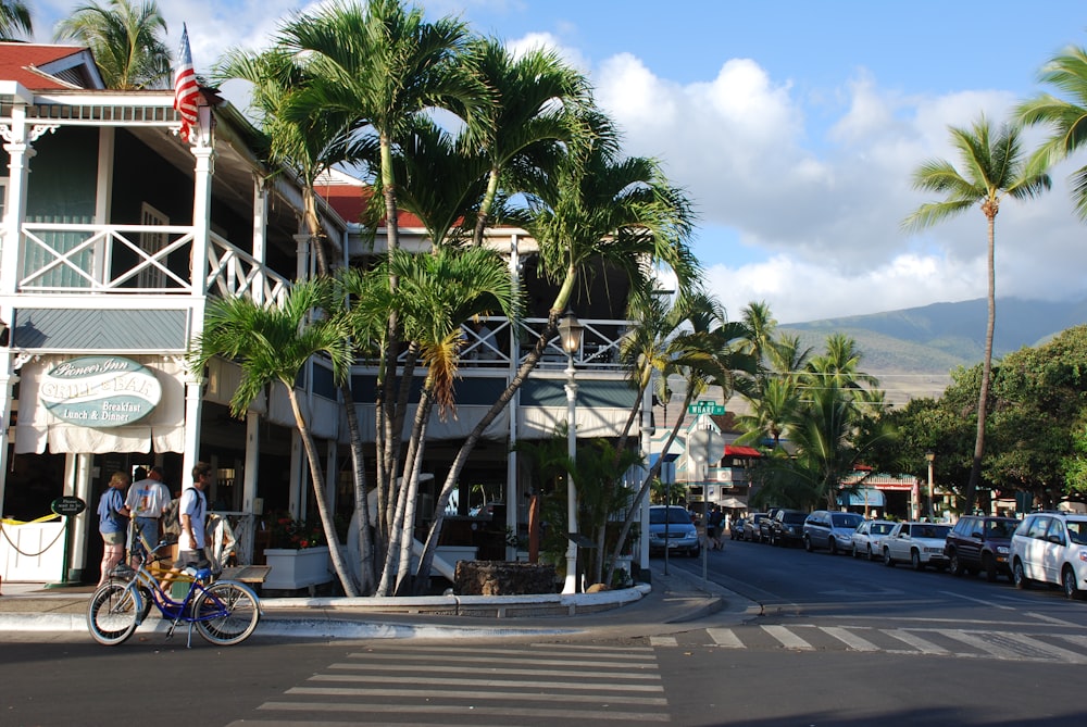 a man riding a bike down a street next to tall palm trees