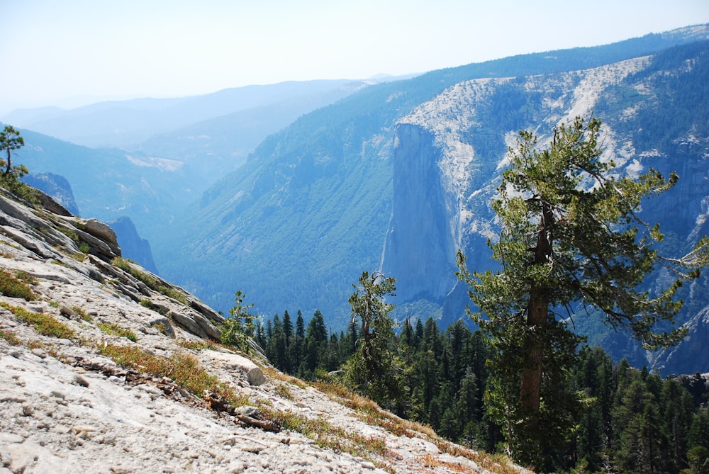 a view of a valley with trees and mountains in the background