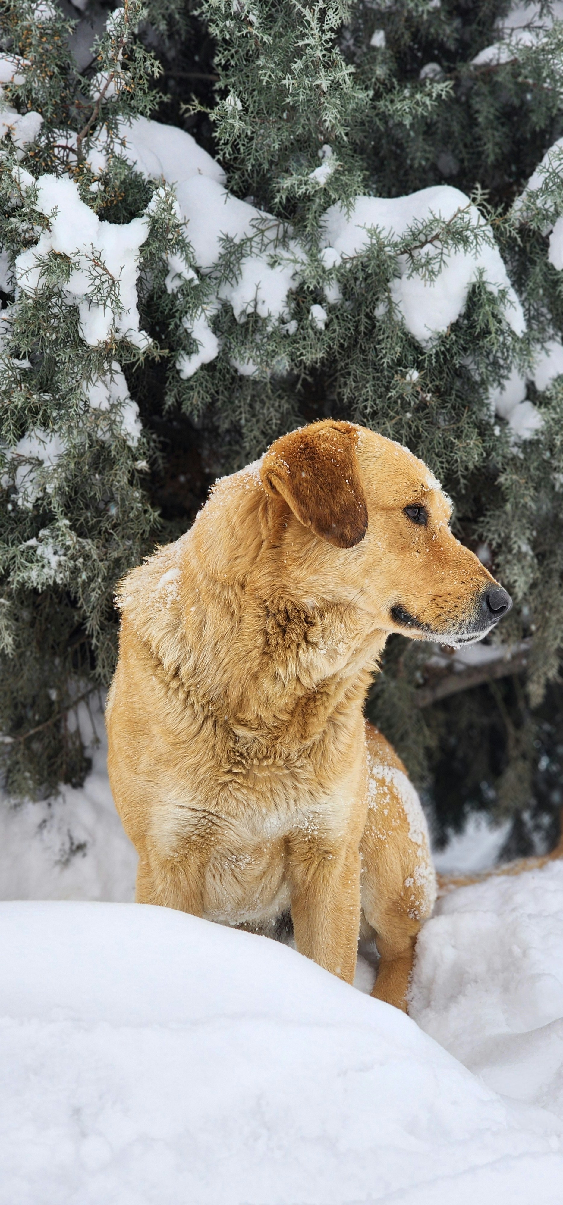 Photo by arefsarkhosh