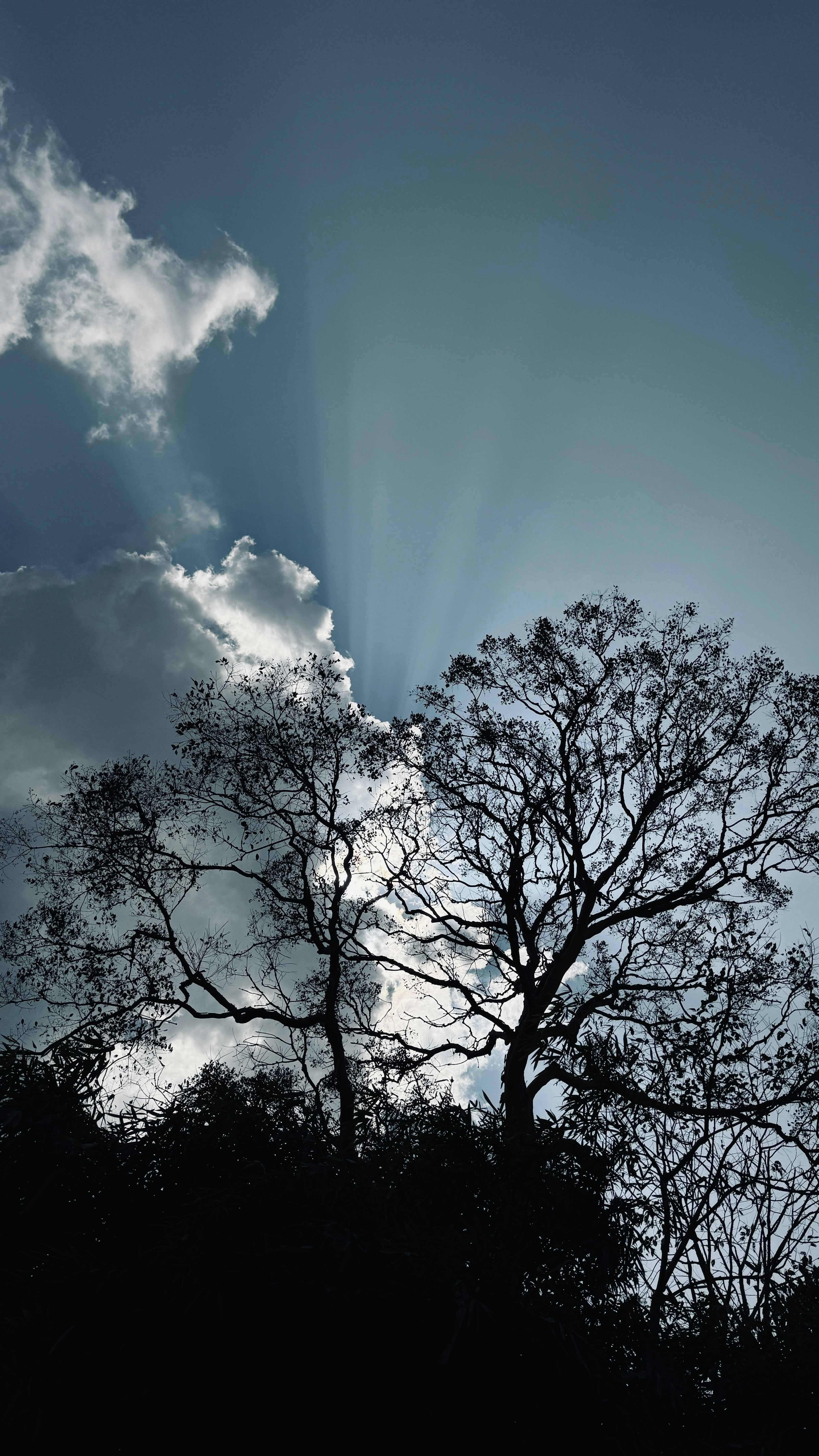 Photo by vishnuvinod_photography