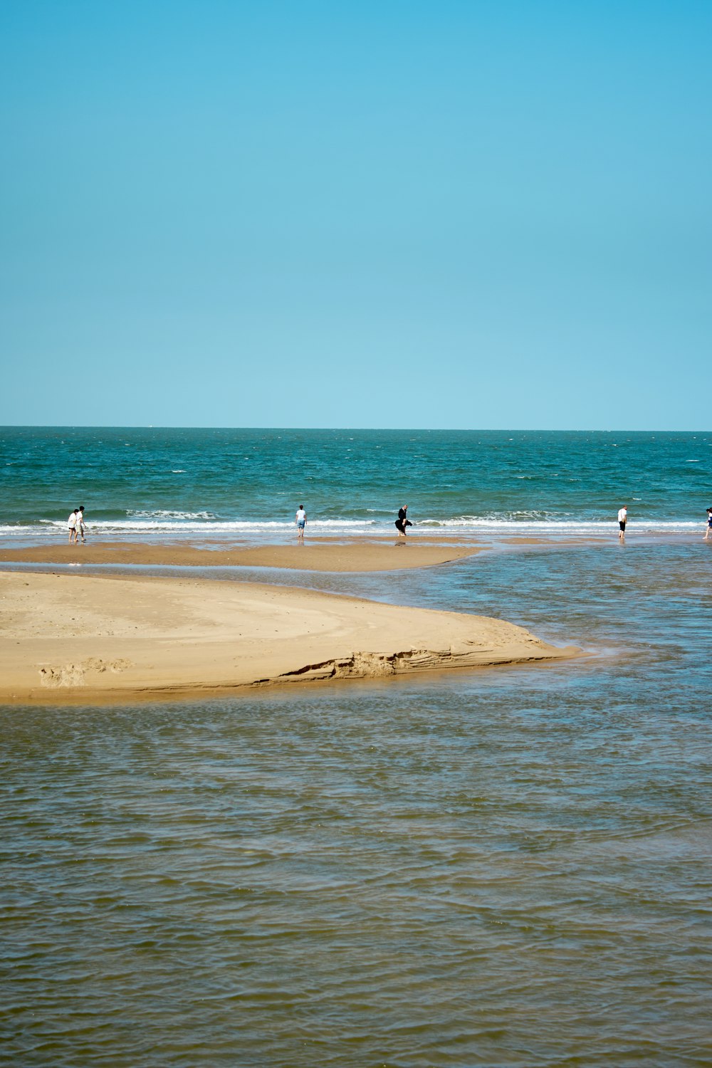 a group of people riding surfboards on top of a sandy beach