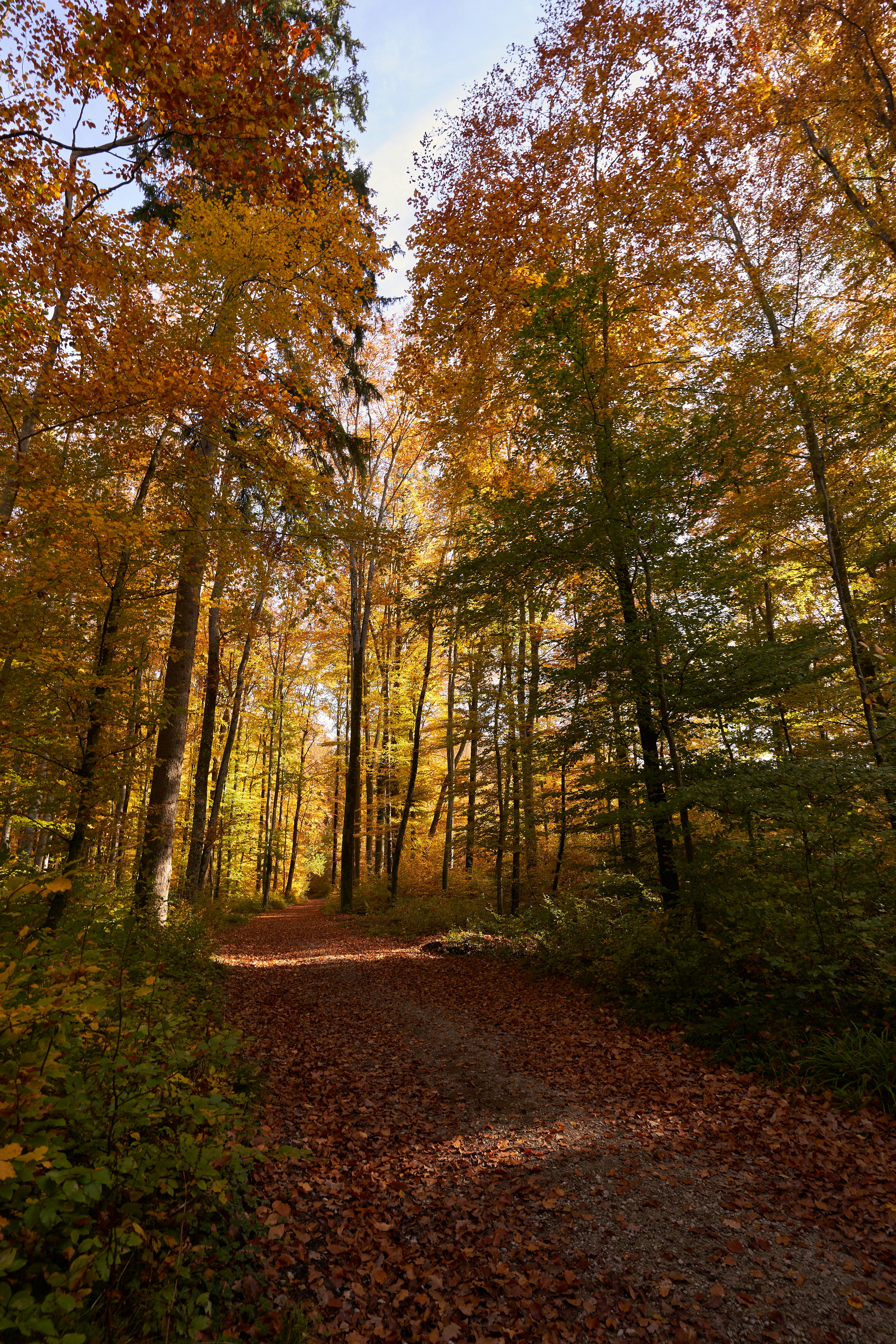 Photo by wolfgang_hasselmann