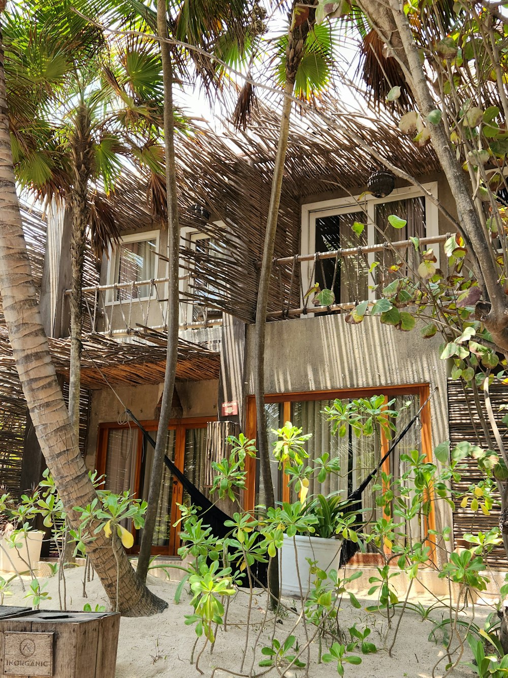 a tropical house with a hammock hanging from the roof
