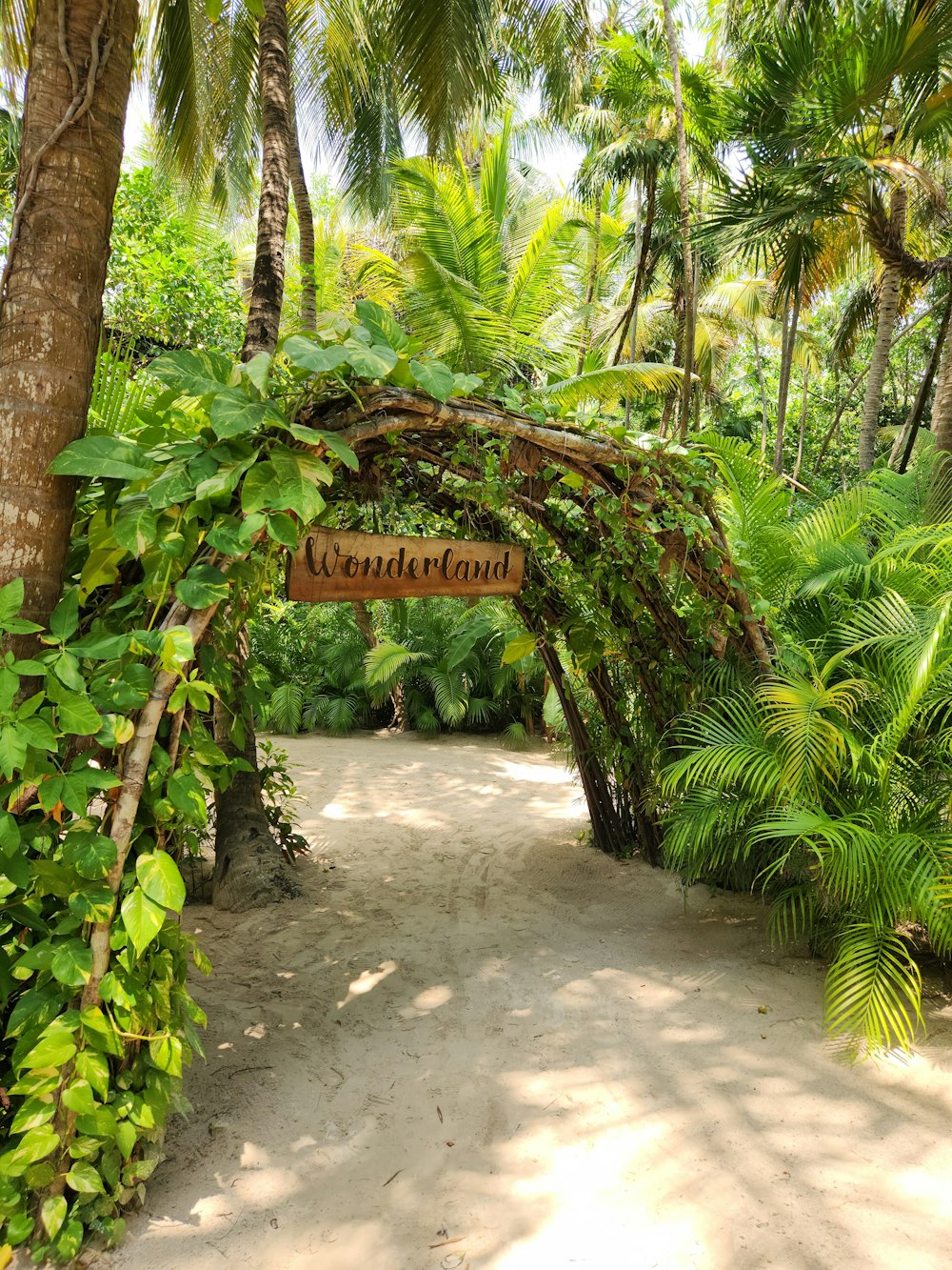 a wooden sign hanging from the side of a lush green forest