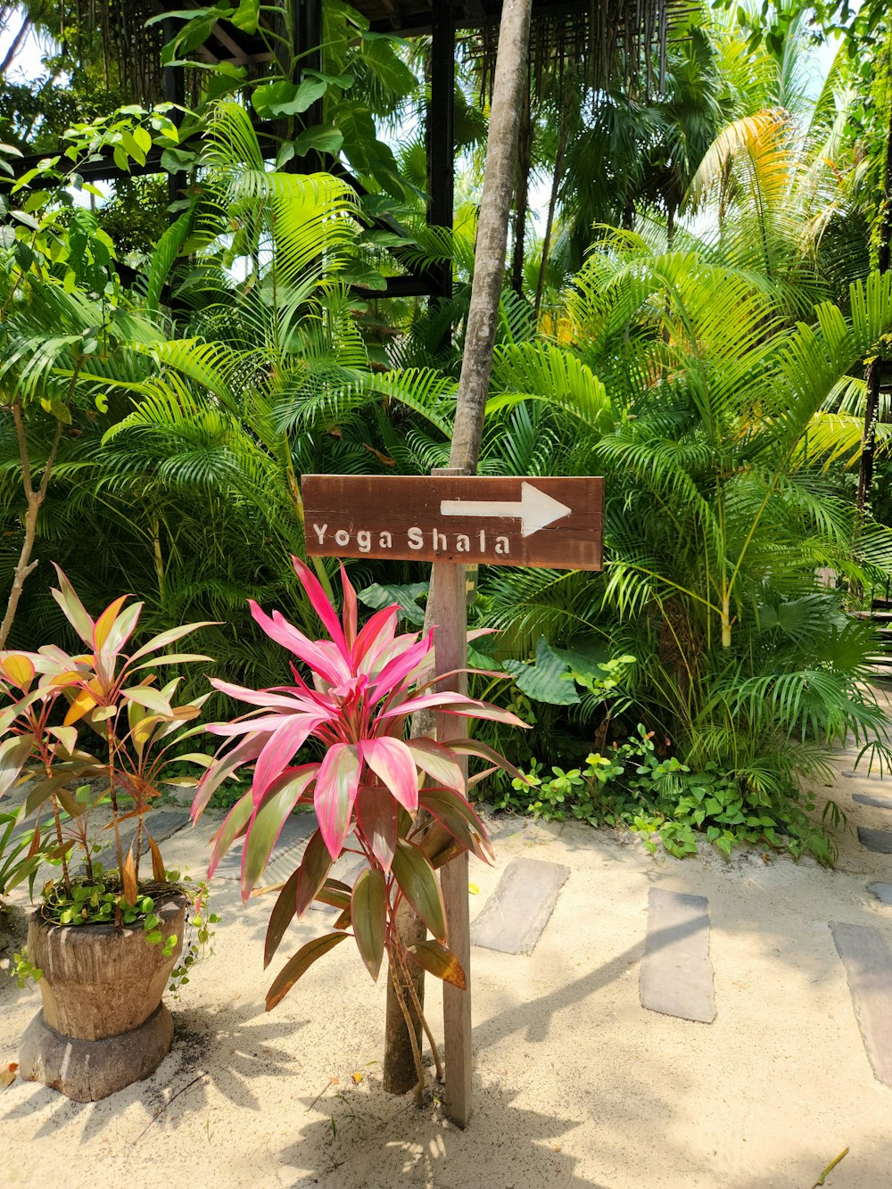 a sign pointing to yonn shala in a tropical setting