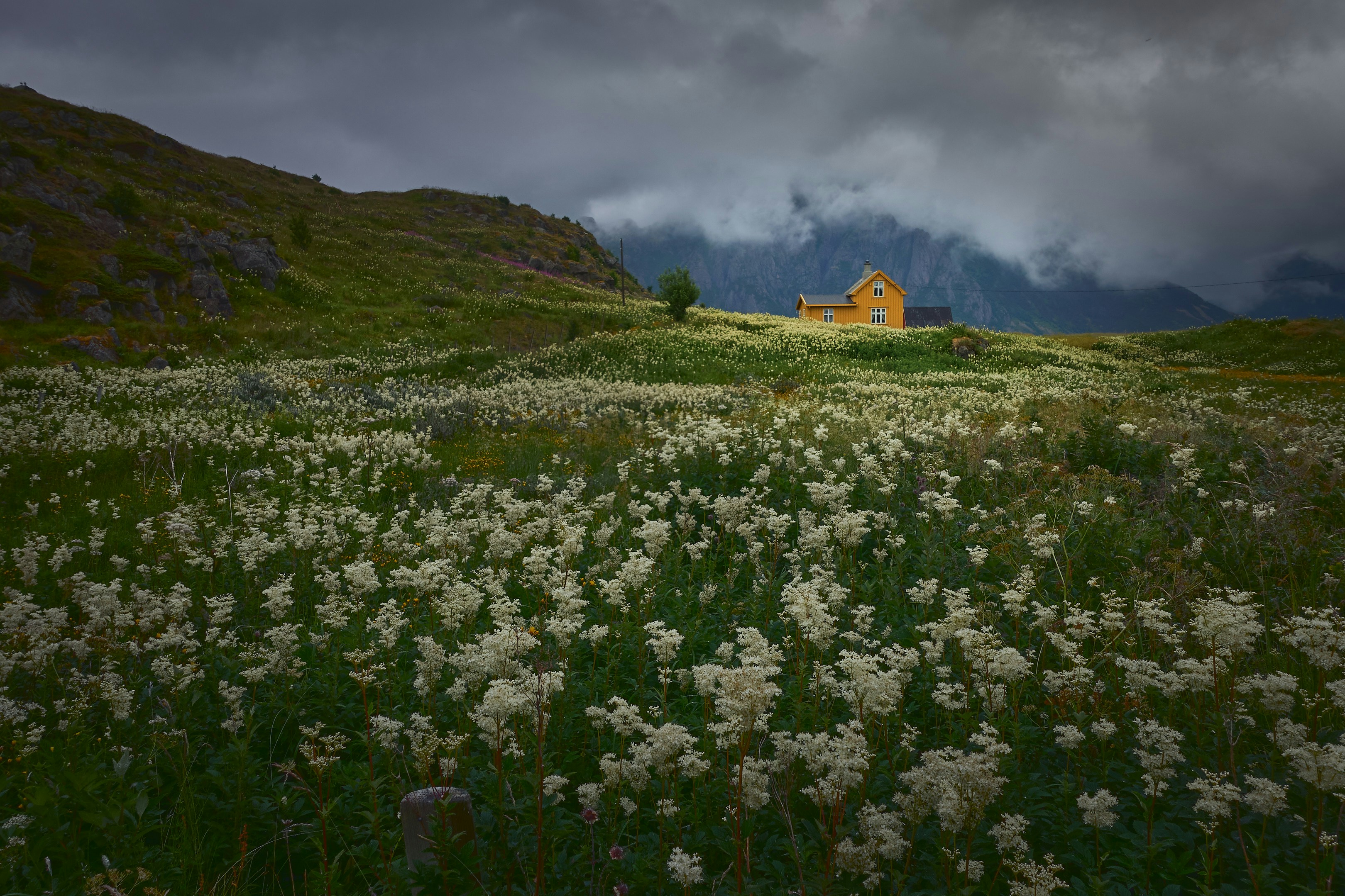 Easiest vote of my life