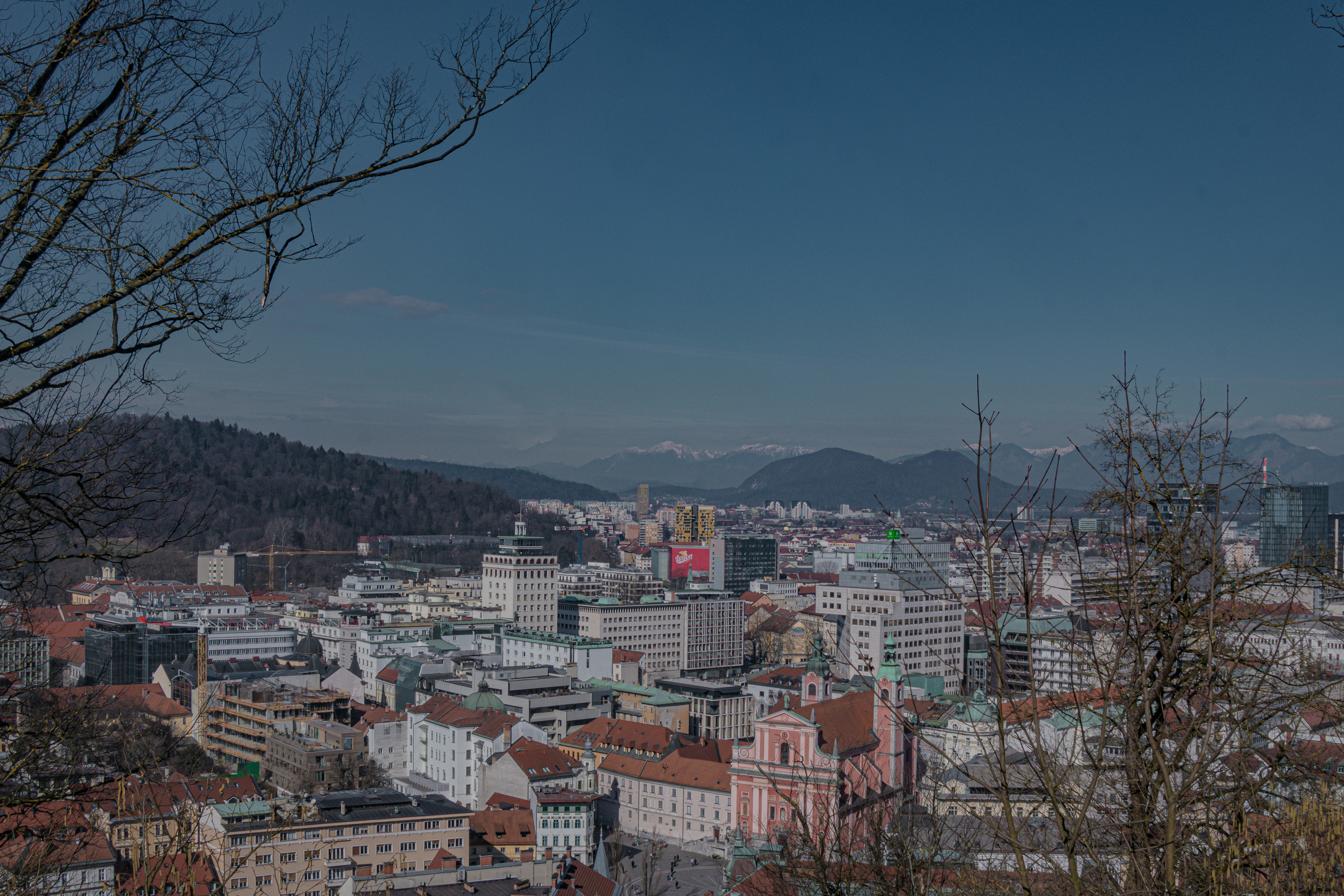 Image by Bryan Dijkhuizen via Unsplash