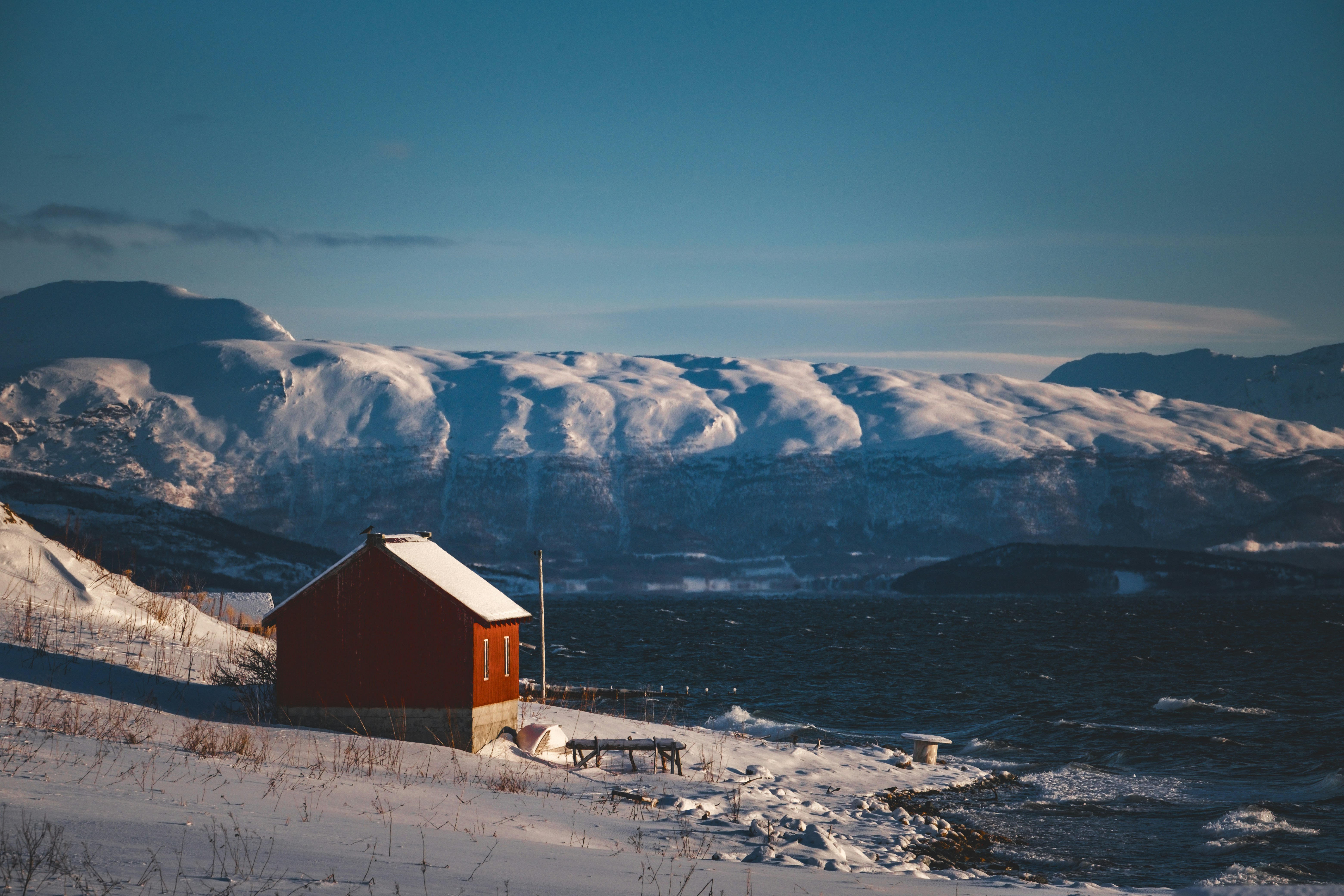 Photo by francesco_ungaro