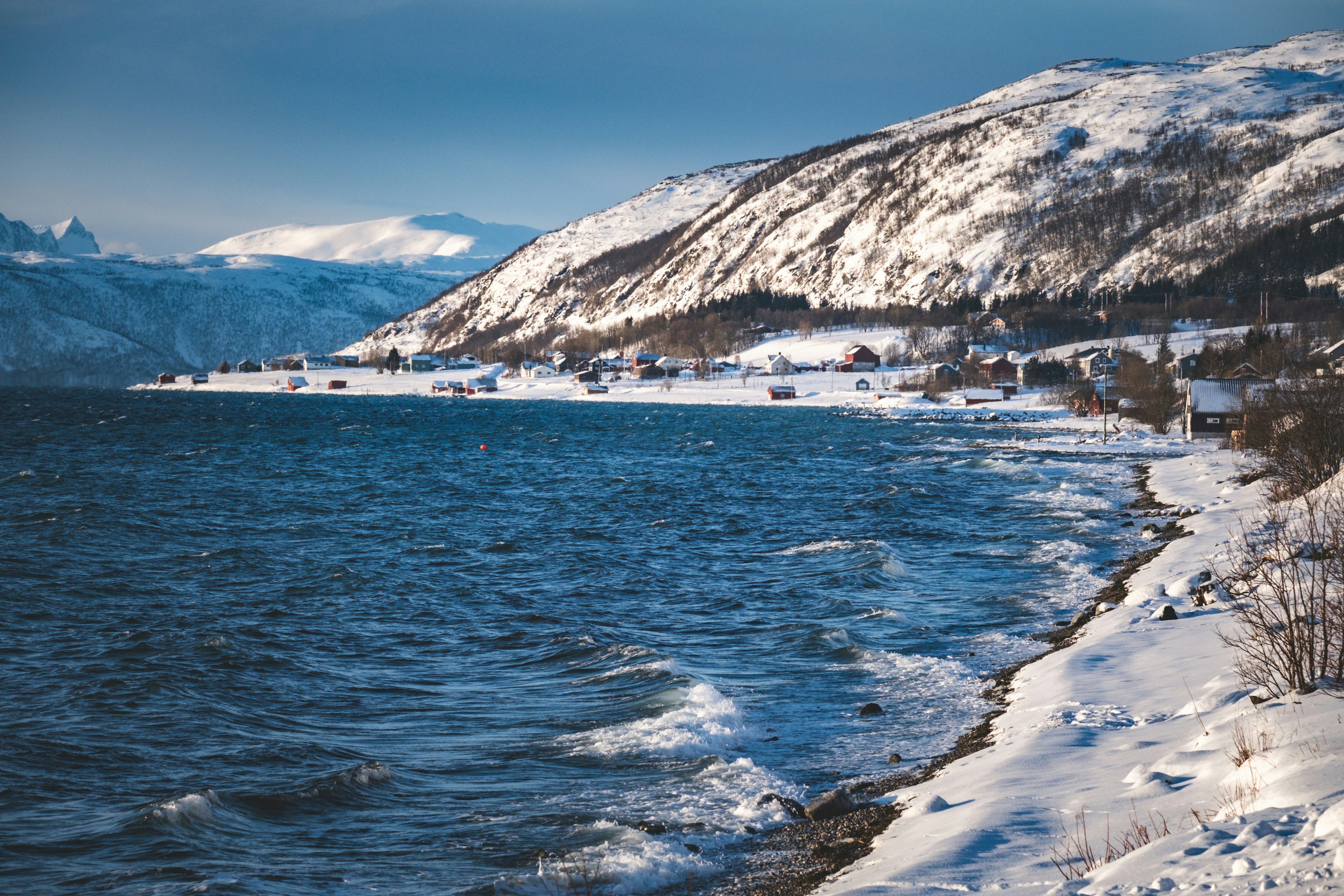 Photo by francesco_ungaro