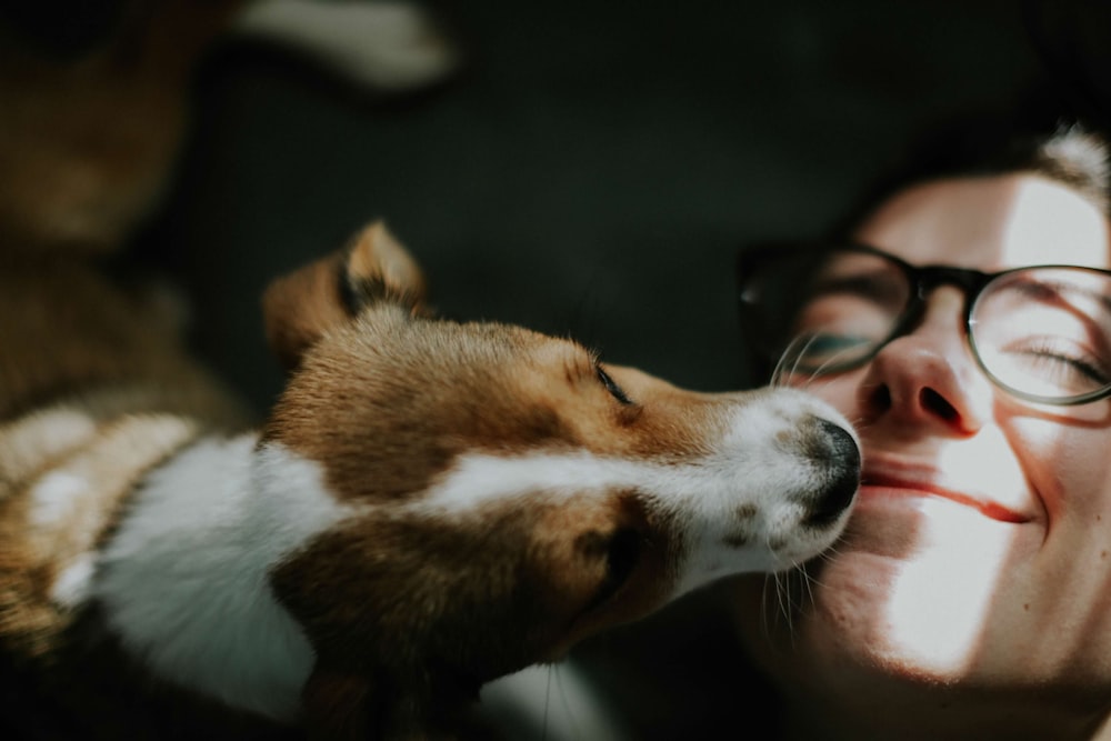 a woman is kissing a dog with her nose