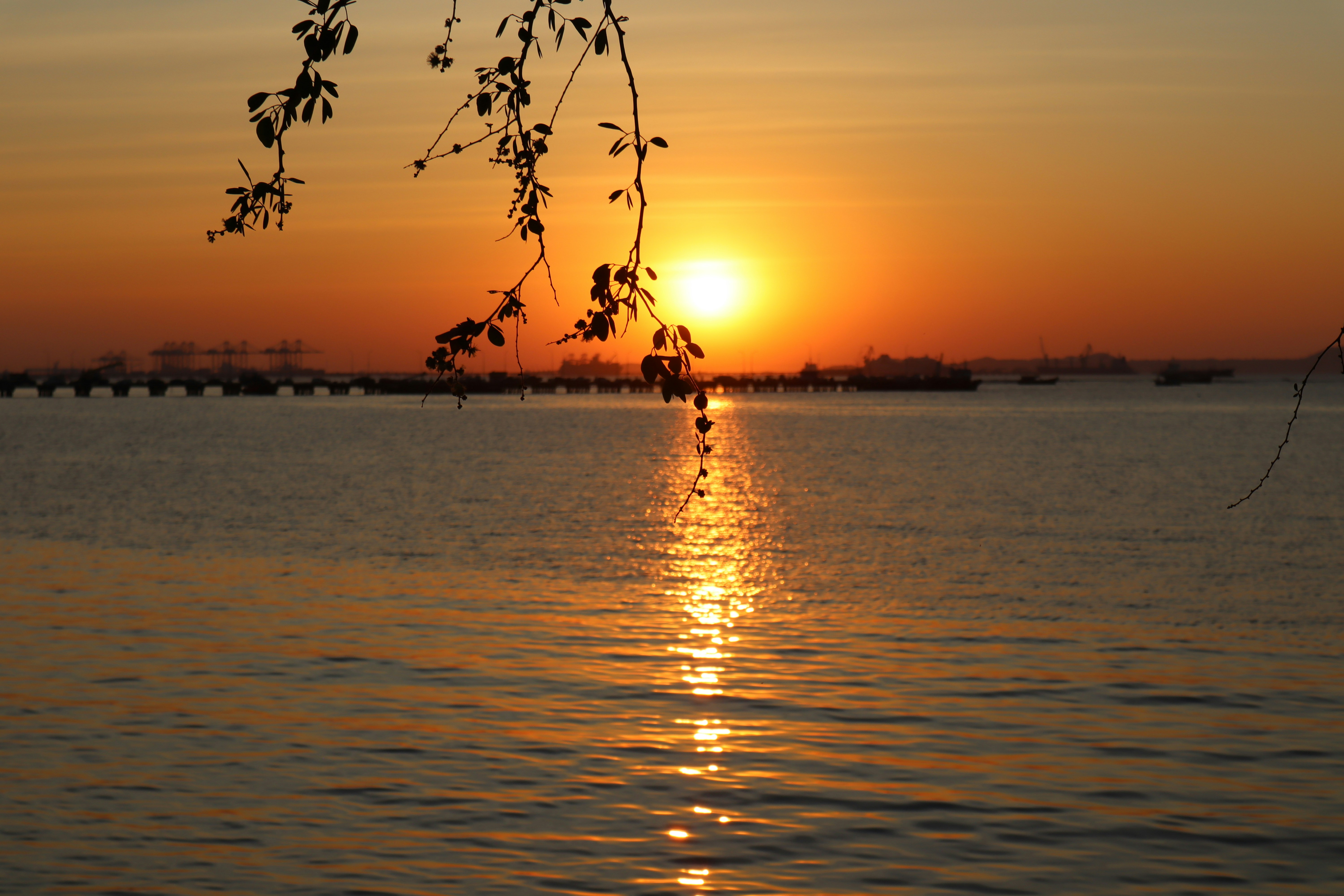 Photo by riverclear242