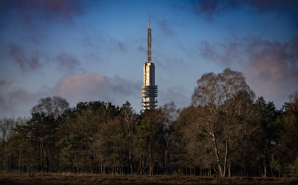 a very tall tower towering over a forest