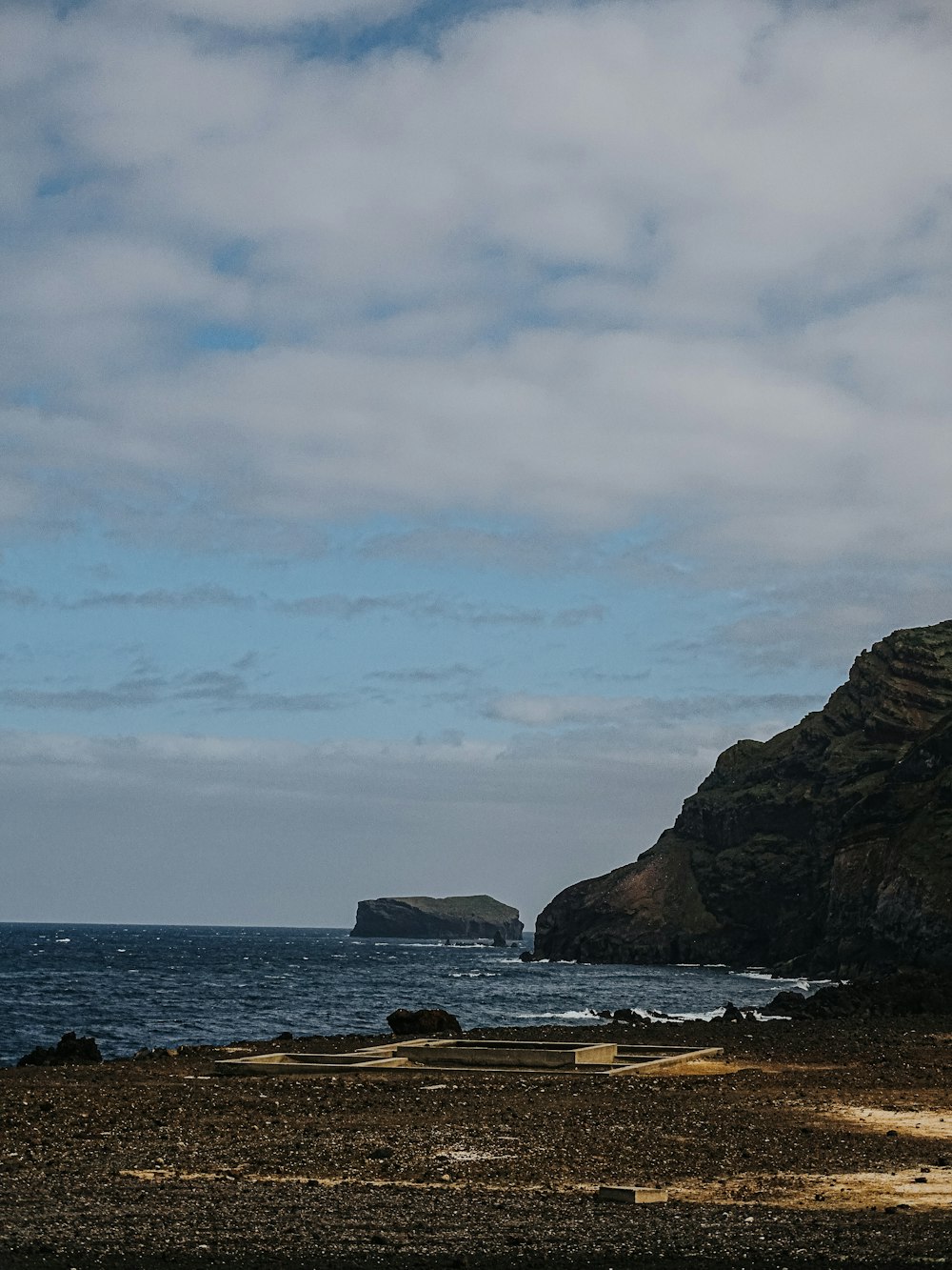 a couple of sheep standing on top of a sandy beach