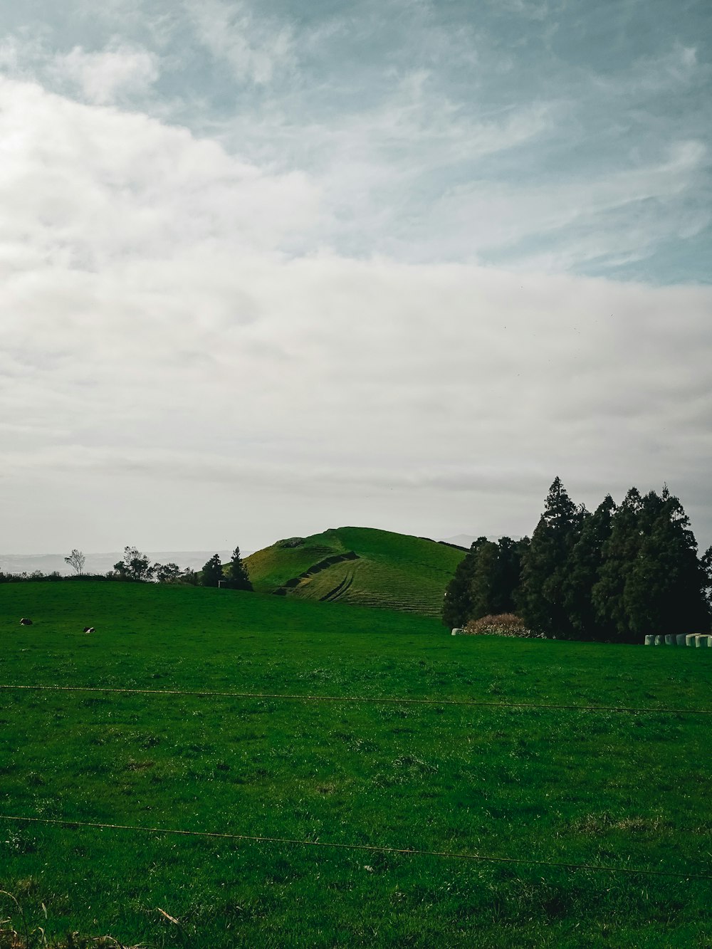 a grassy field with a hill in the background