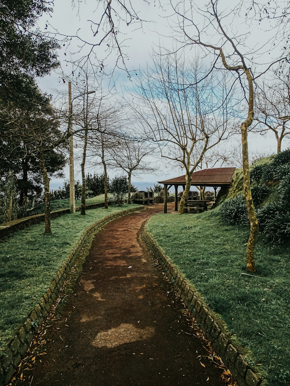 ein Feldweg mitten auf einer Wiese