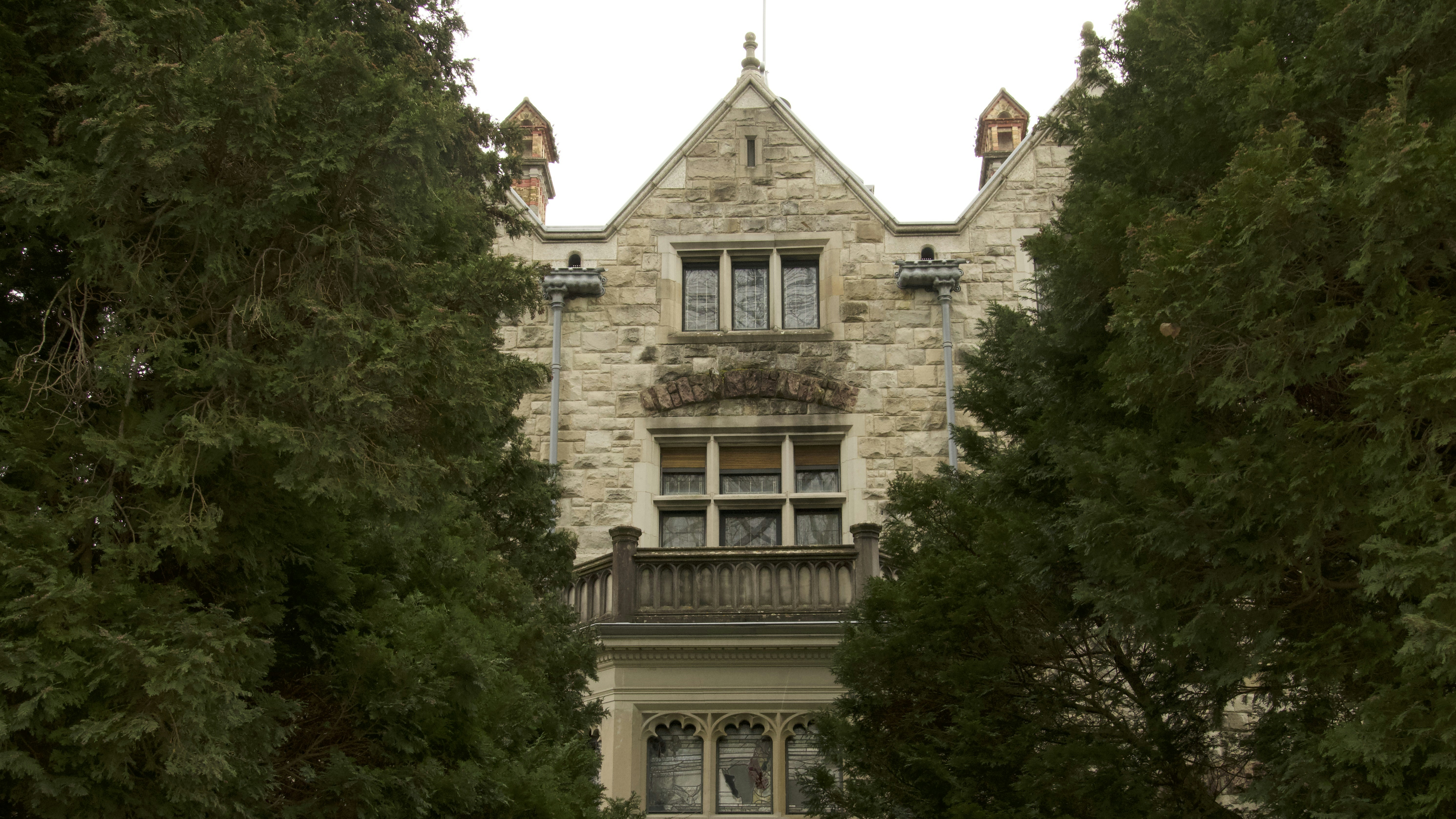 Photo by quang_quang