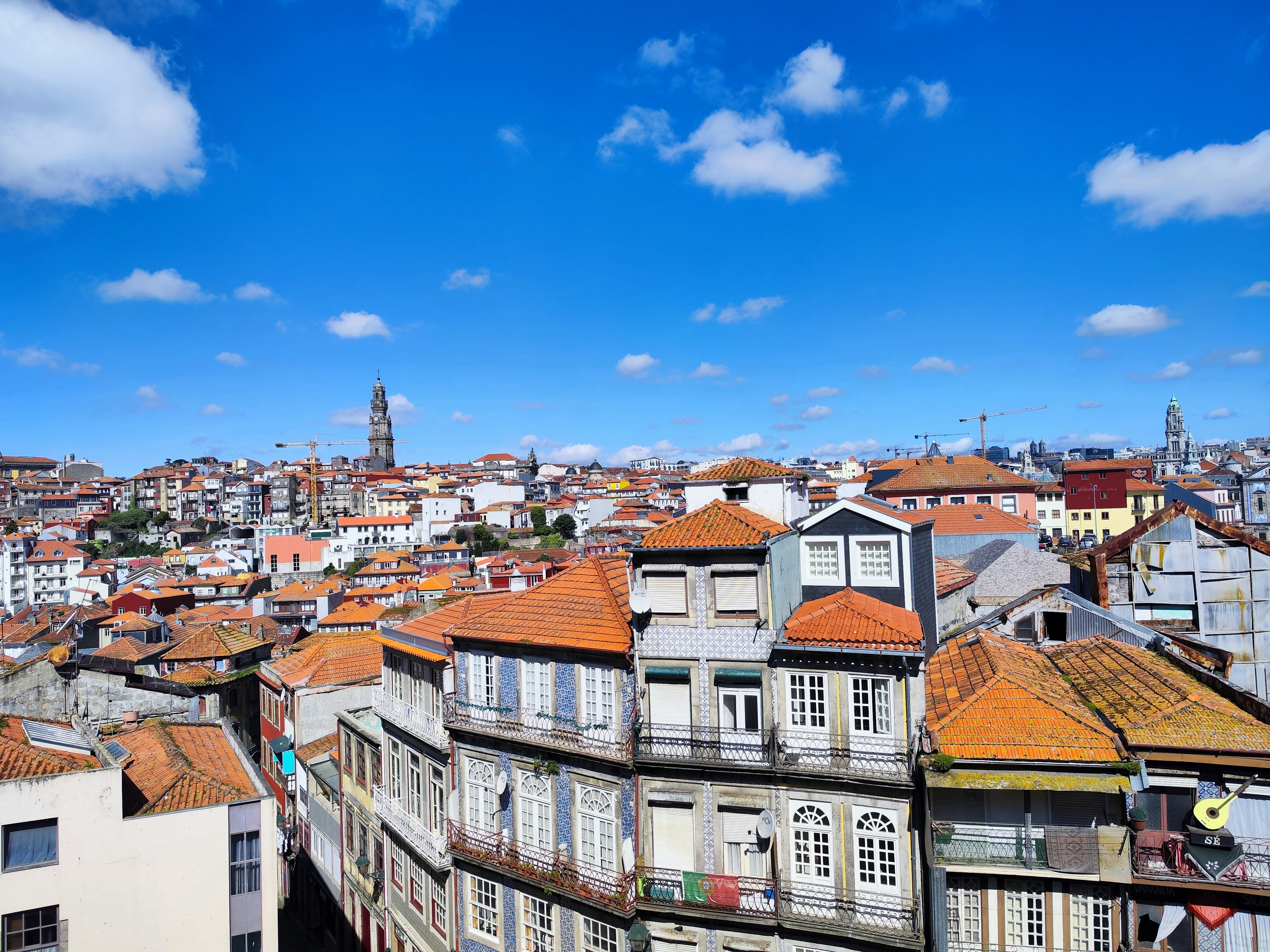 Image by Dmitry Romanoff via Unsplash