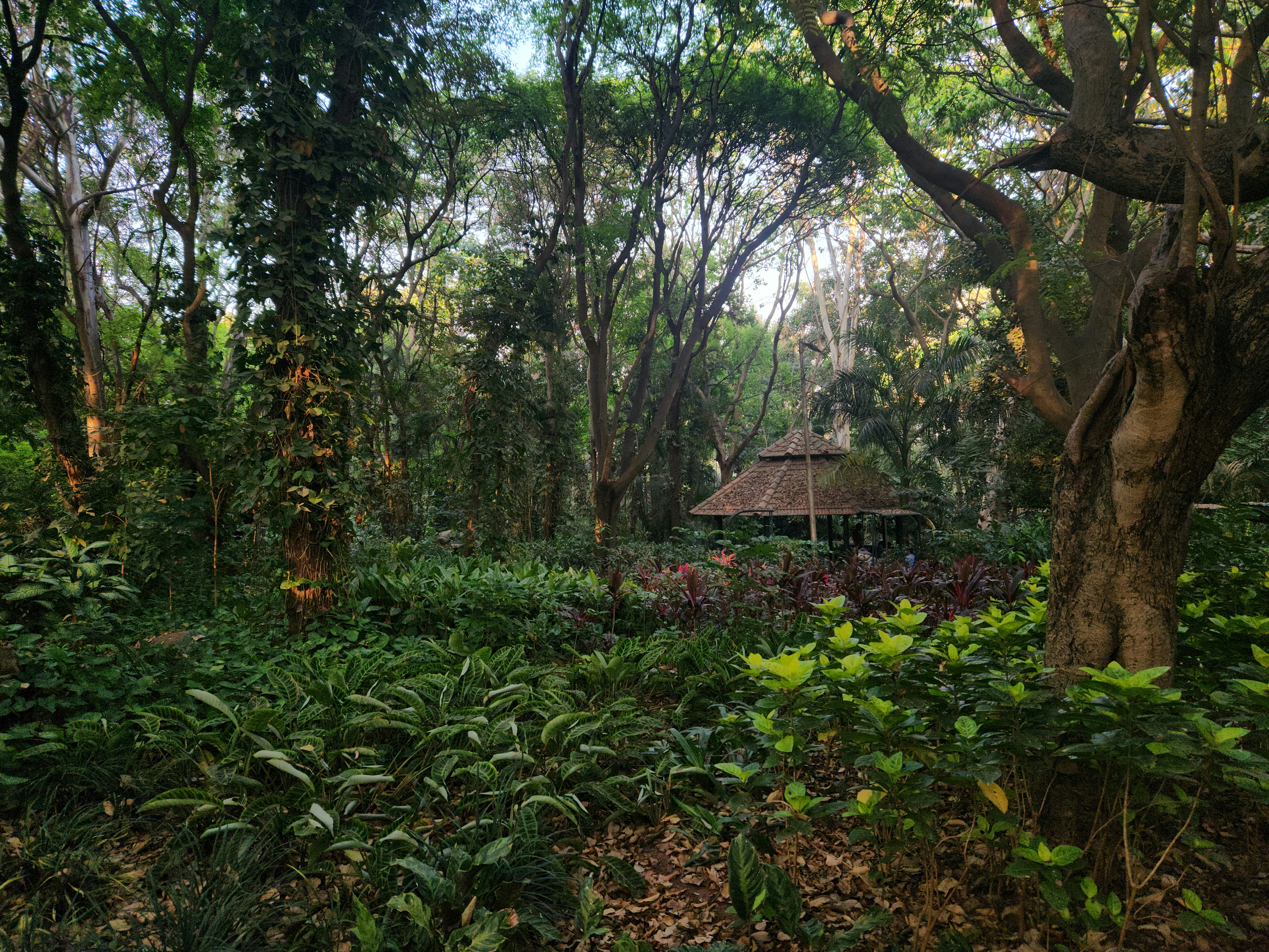 Bugle Rock massive rock formation