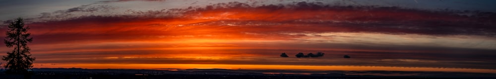 ein Sonnenuntergang mit Vögeln, die am Himmel fliegen