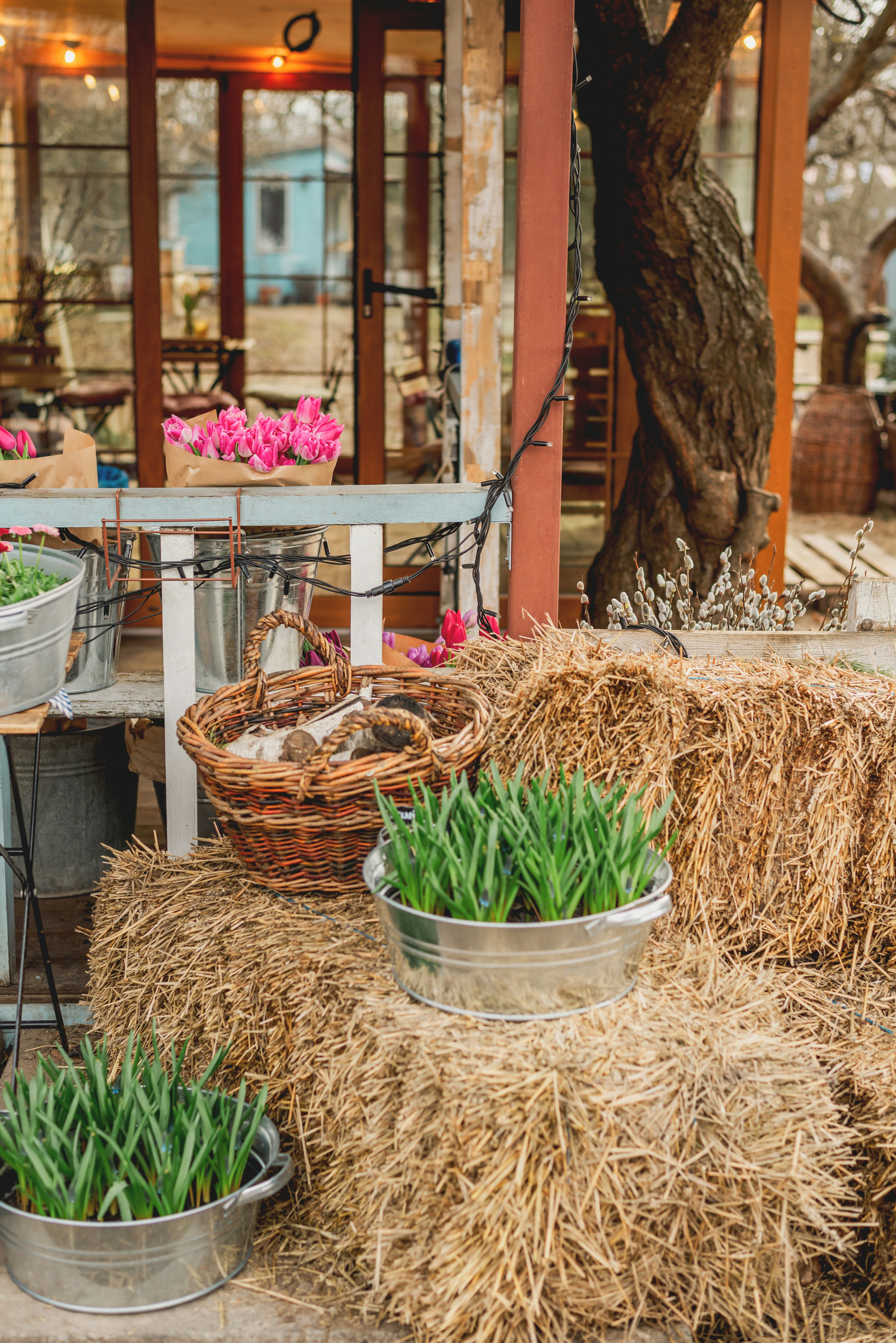 Photo by eugenivy_now