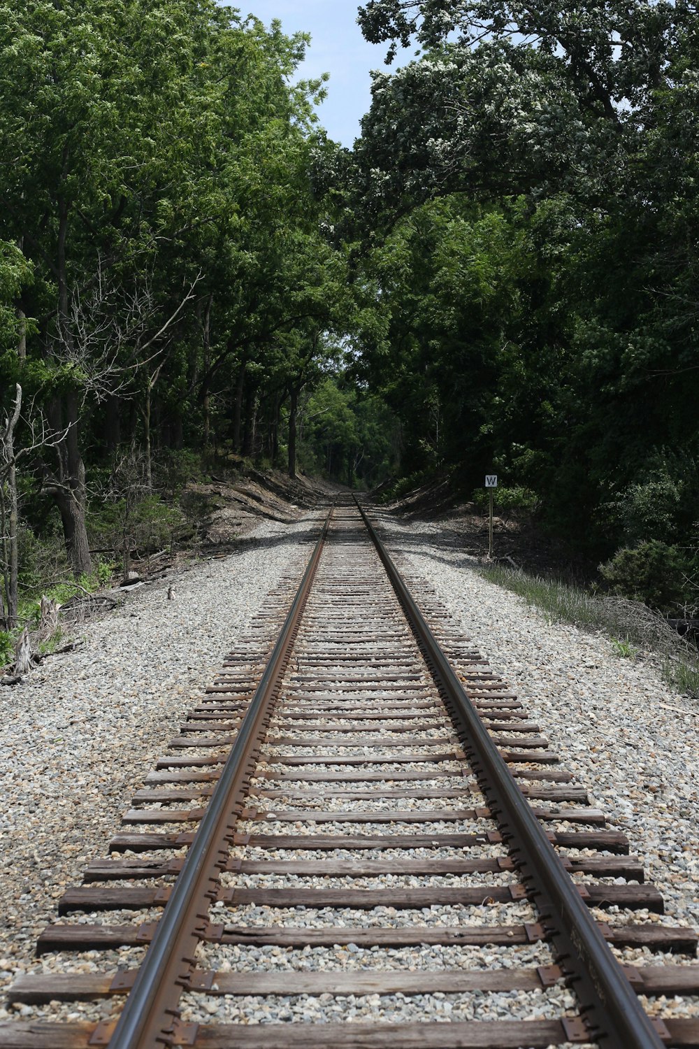 a train track running through a wooded area