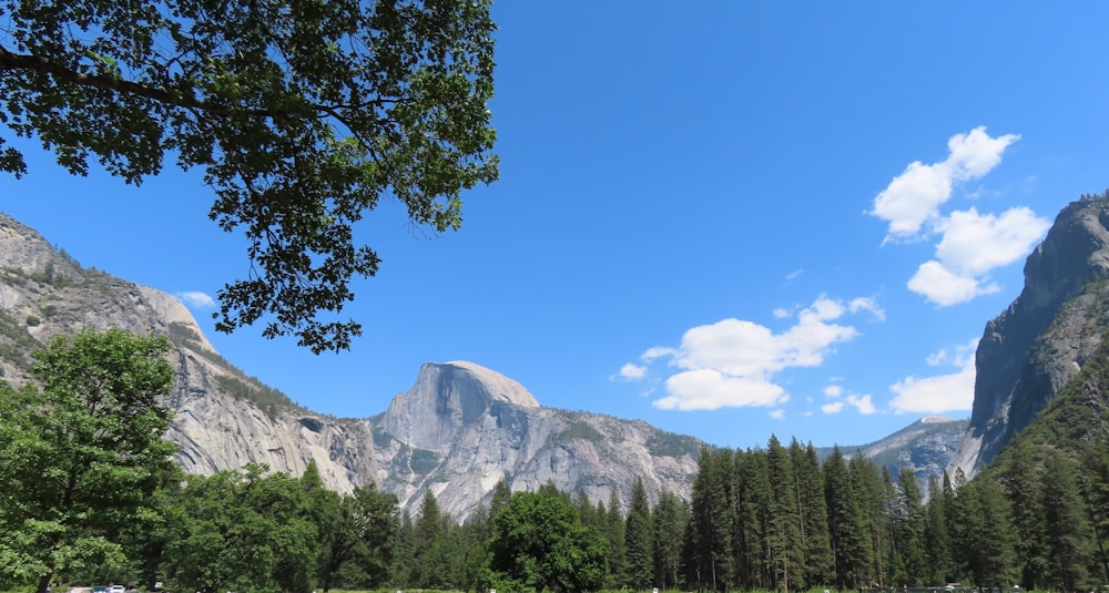 a scenic view of a valley with mountains in the background