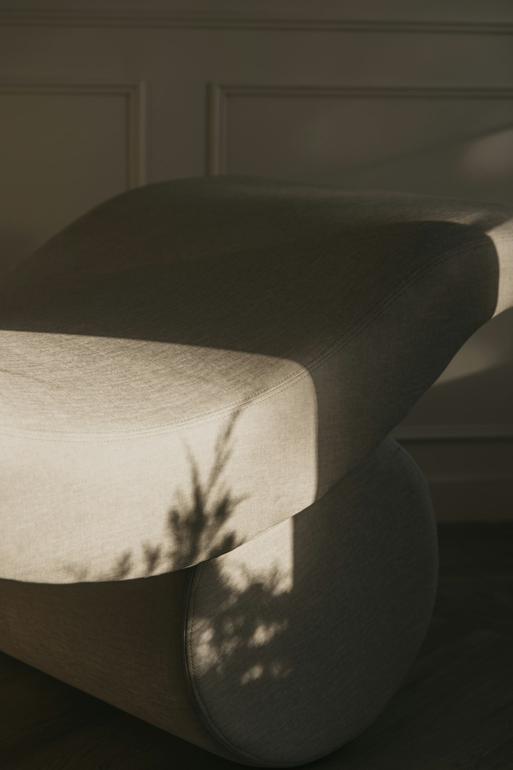 the shadow of a plant on the back of a chair