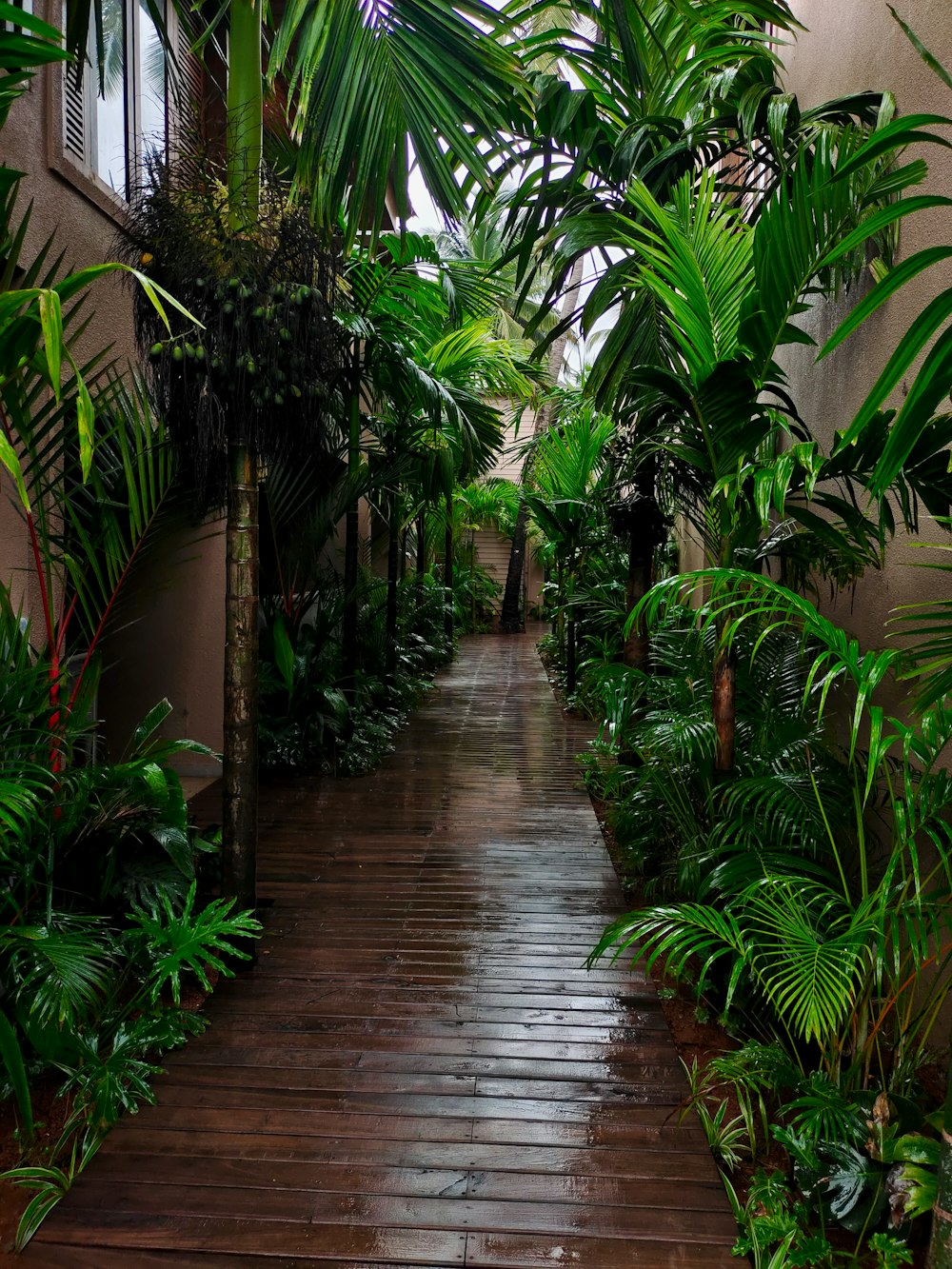 a walkway in a building with lots of plants