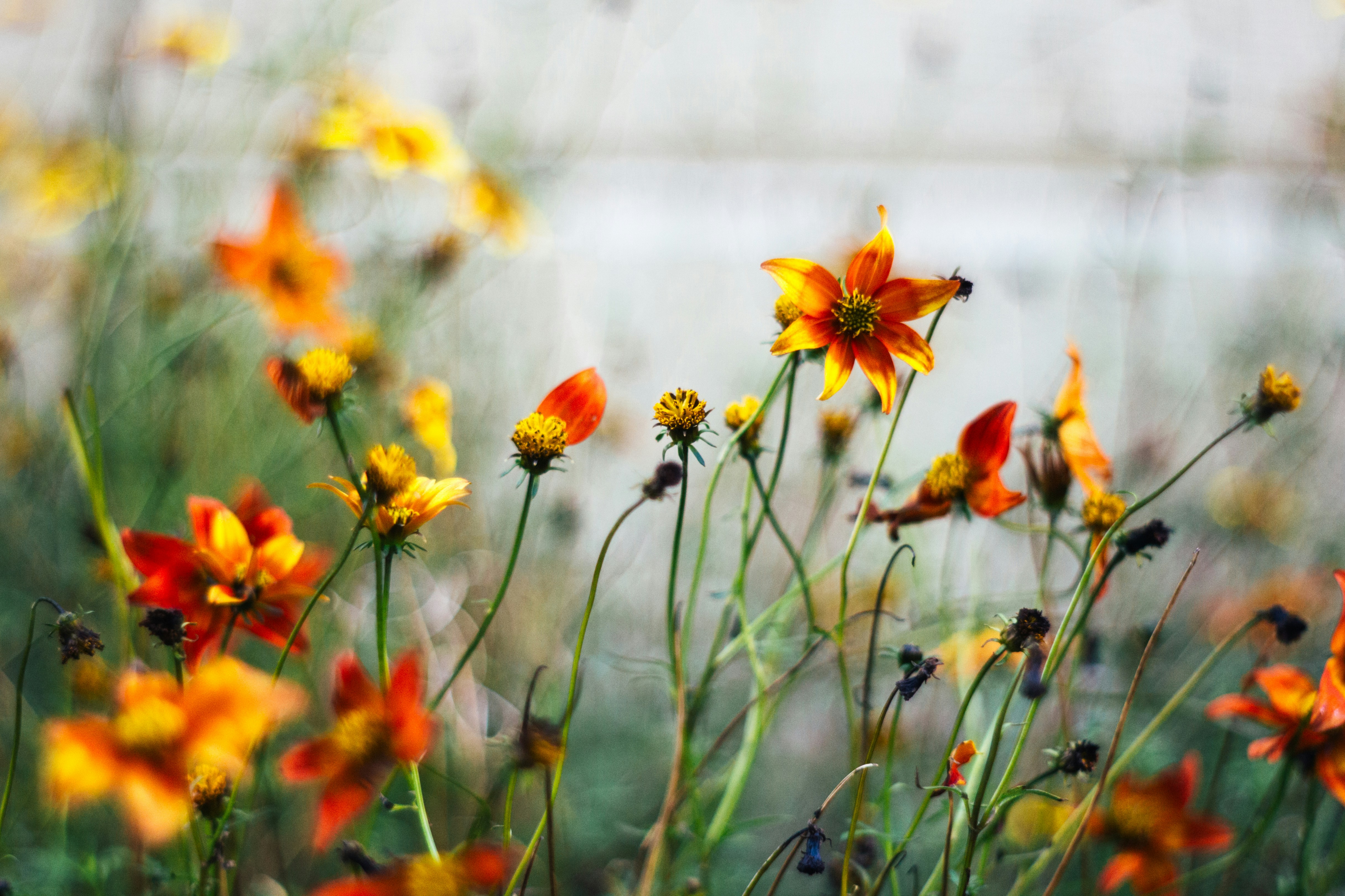 Photo by gloriaviktoriia