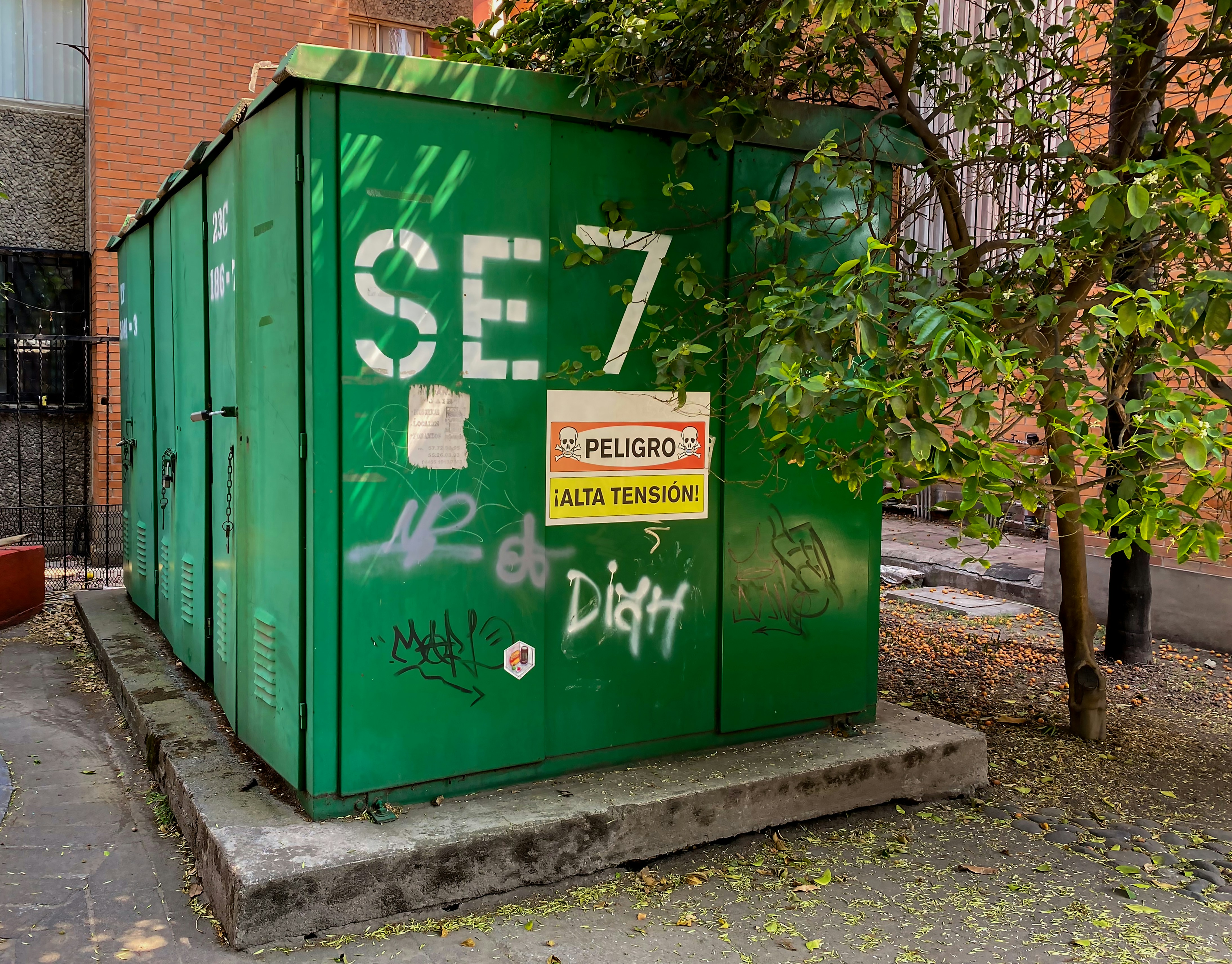 Best Dumpster Rental Companies in Toronto