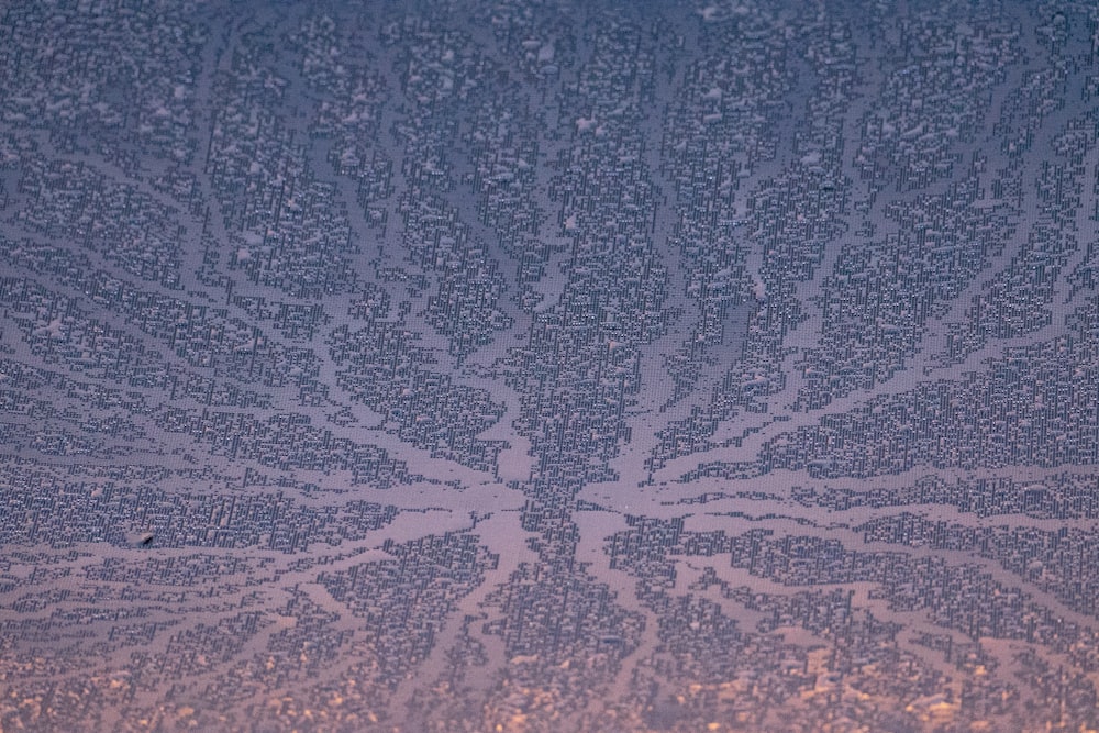 a close up of a frosted window with a tree on it