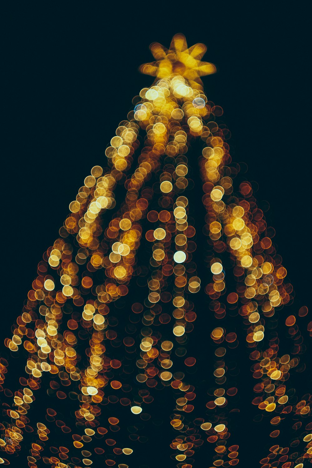 a christmas tree is lit up at night