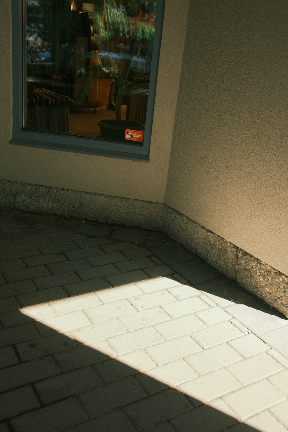 a cat sitting on the ground in front of a window