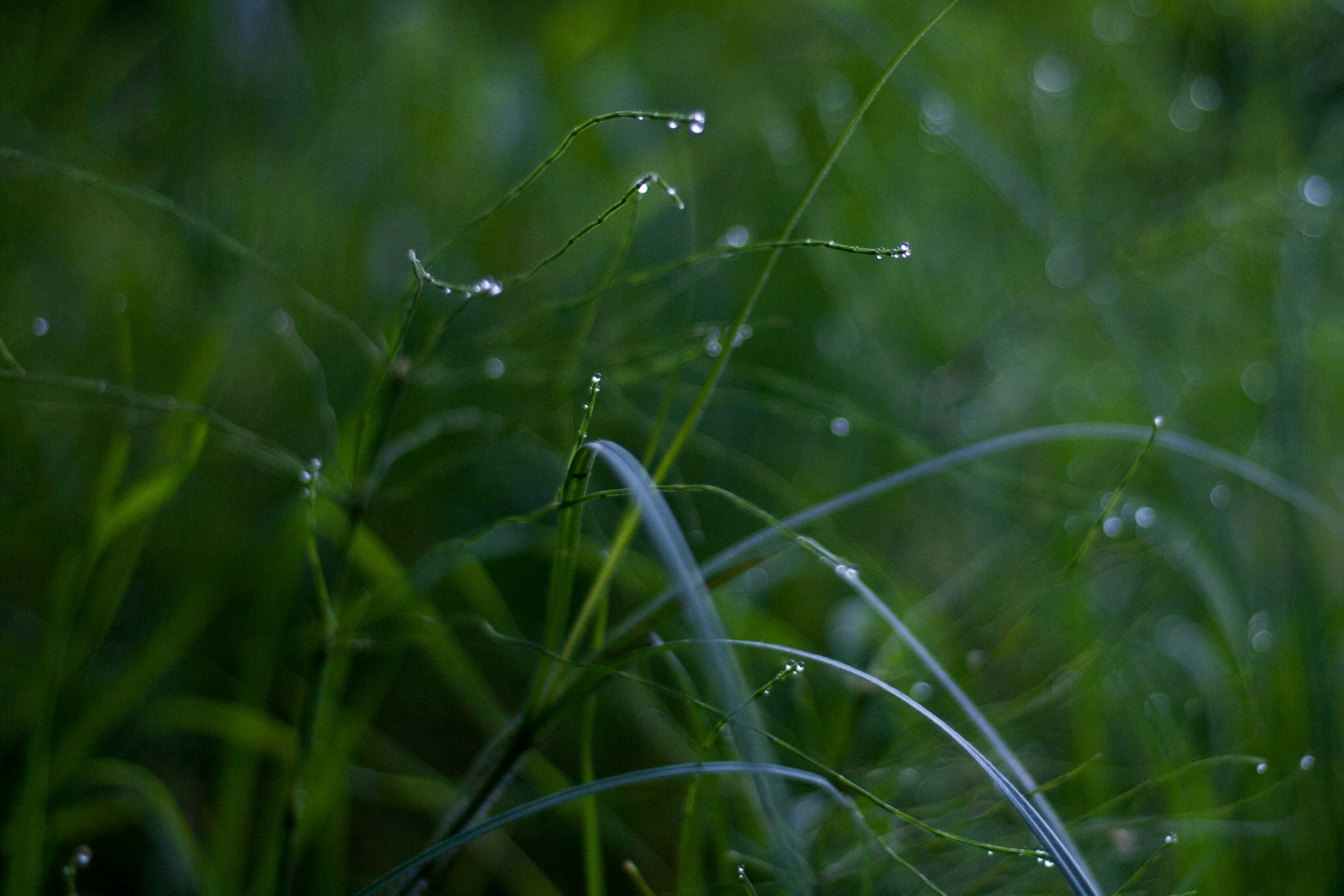 Photo by gloriaviktoriia