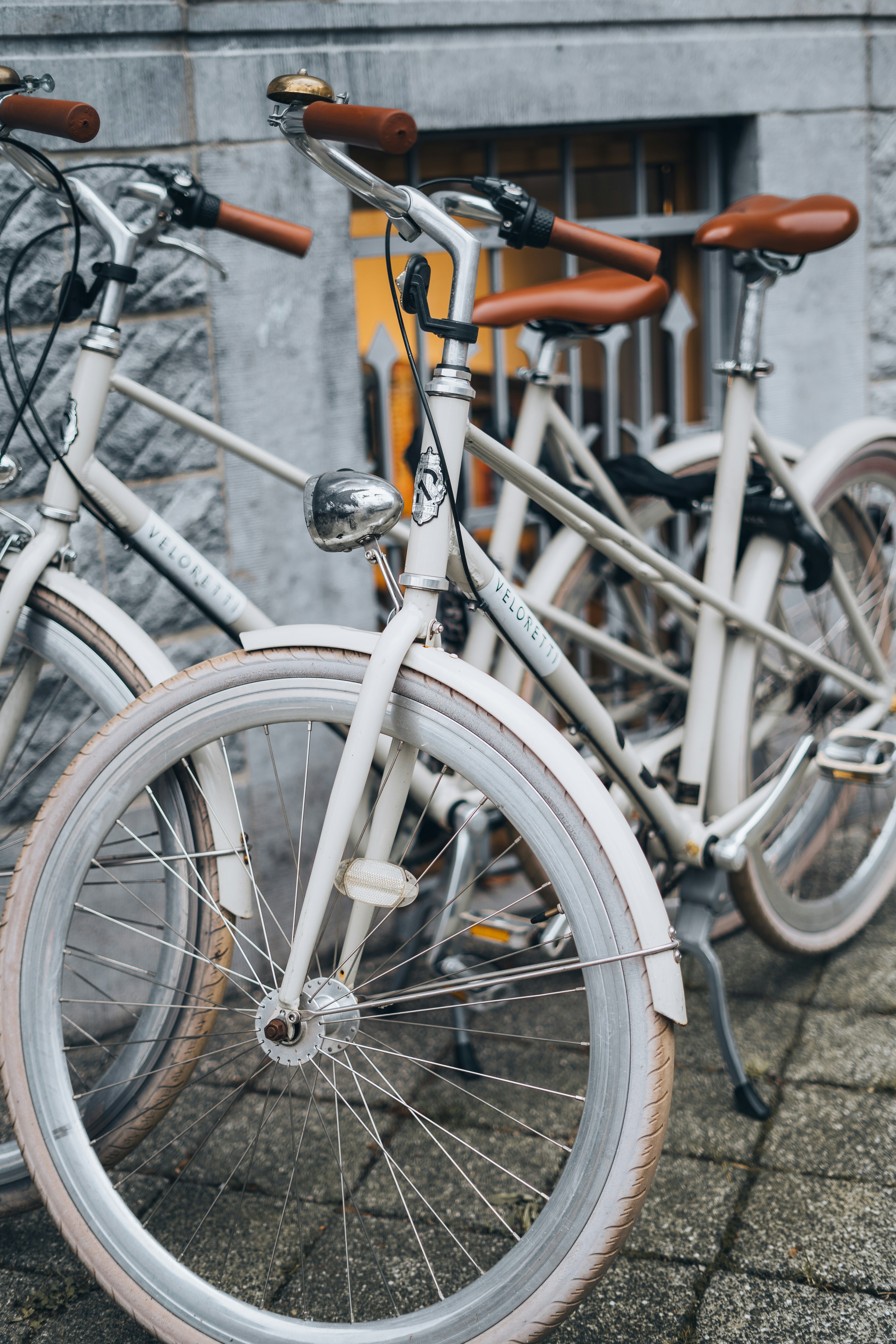 Photo by renate_dreyer