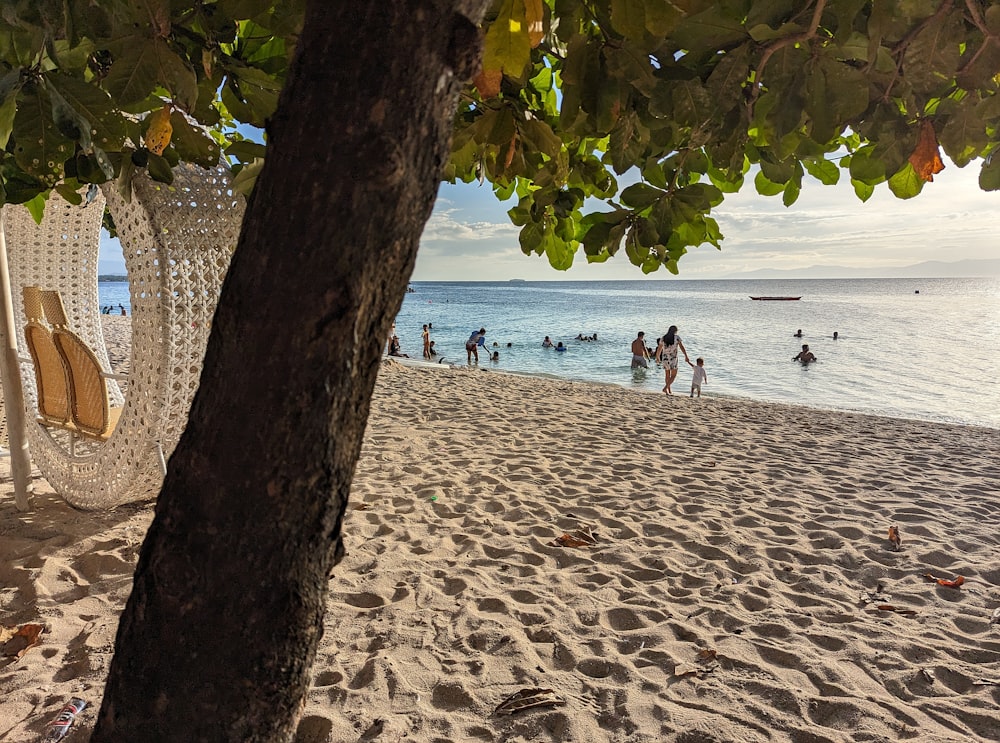 a group of people standing on top of a sandy beach