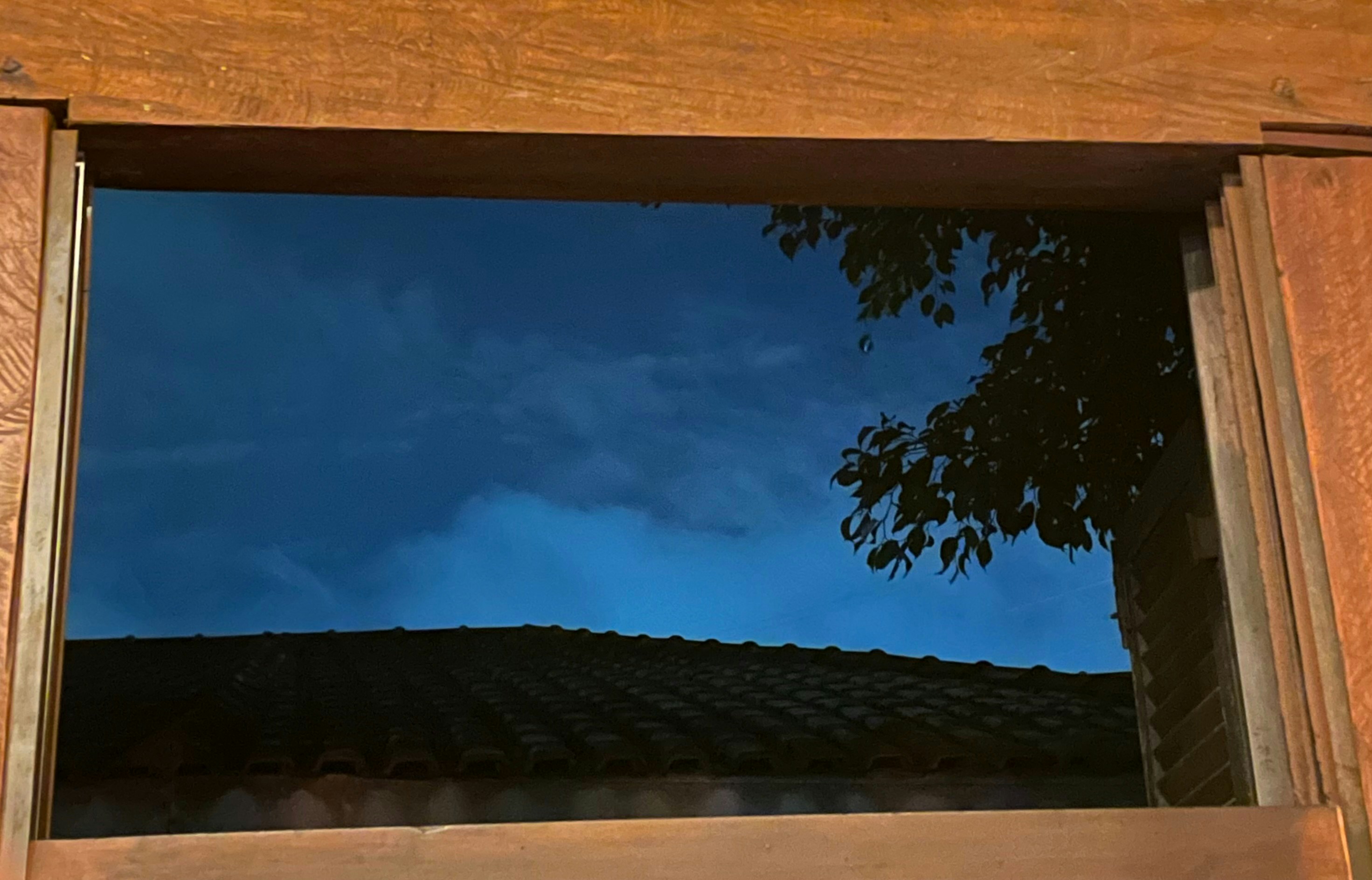A reflection of a tree in a window photo – Free Blue Image on Unsplash