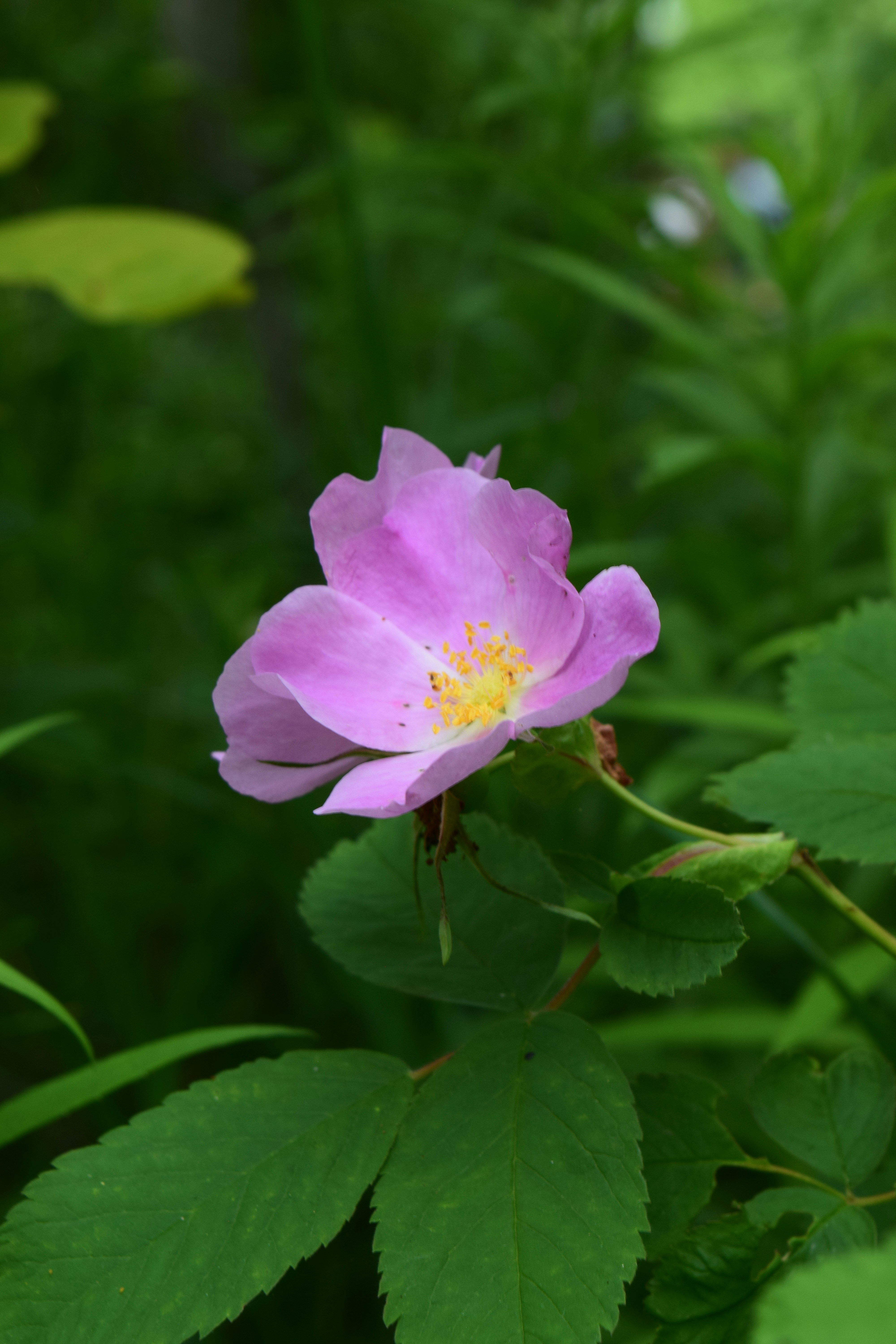 Photo by filming_co2022