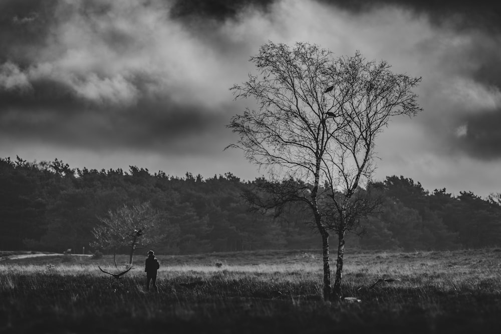 a man standing next to a tree in a field
