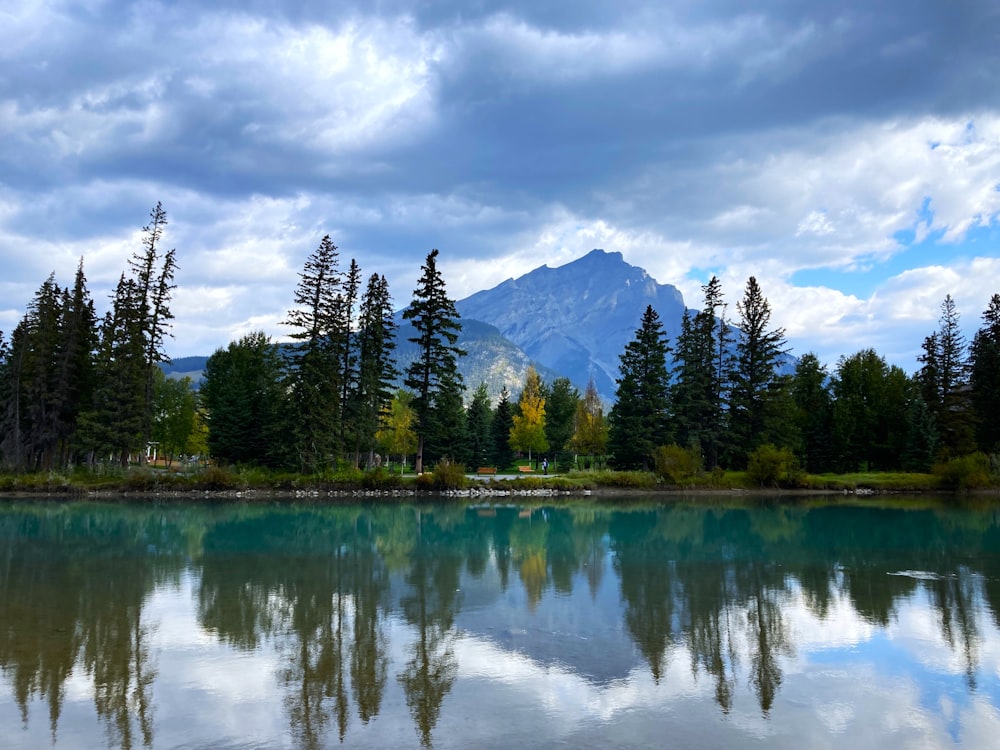 um lago cercado por árvores com uma montanha ao fundo