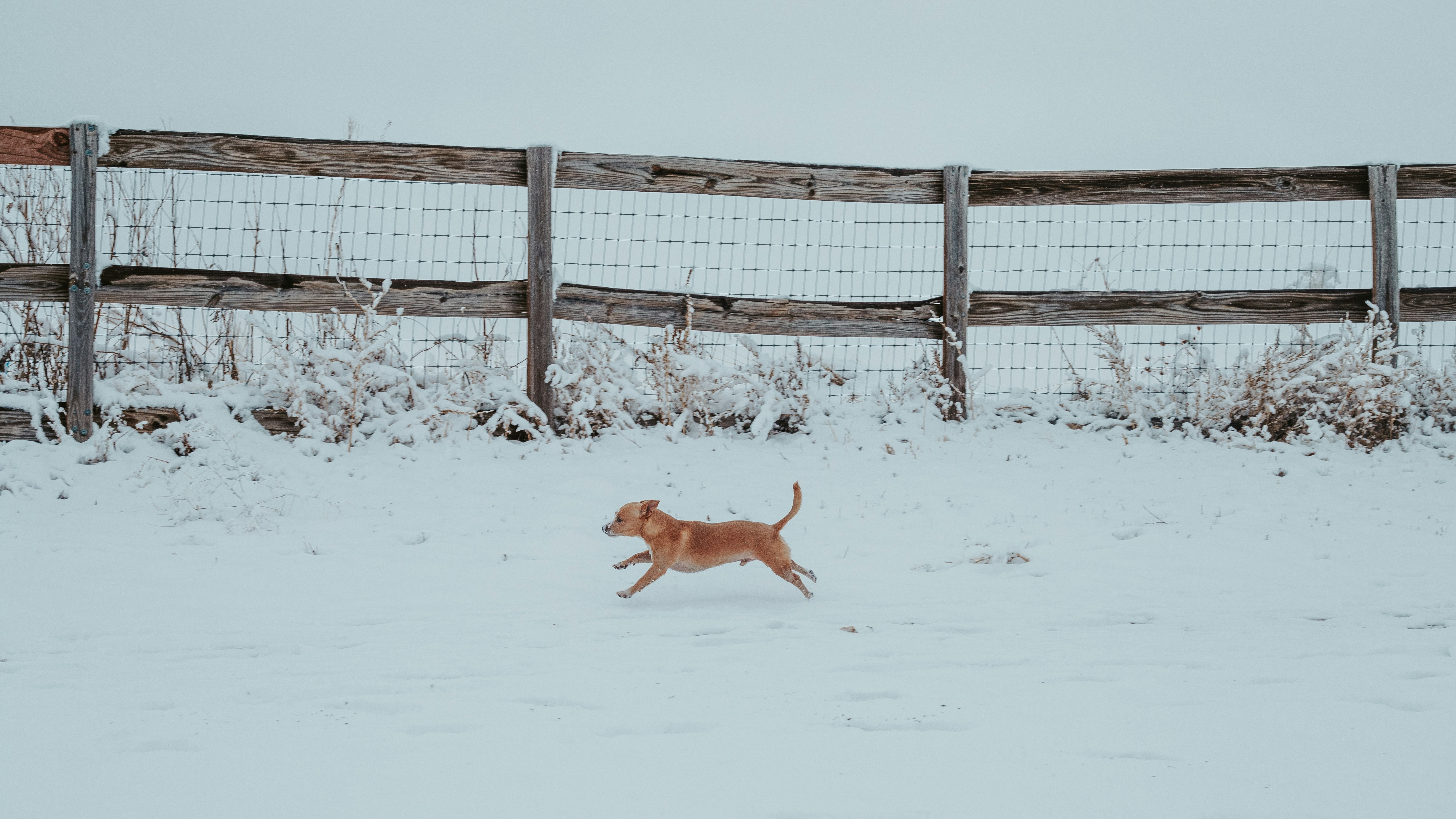 Photo by photosoflogan
