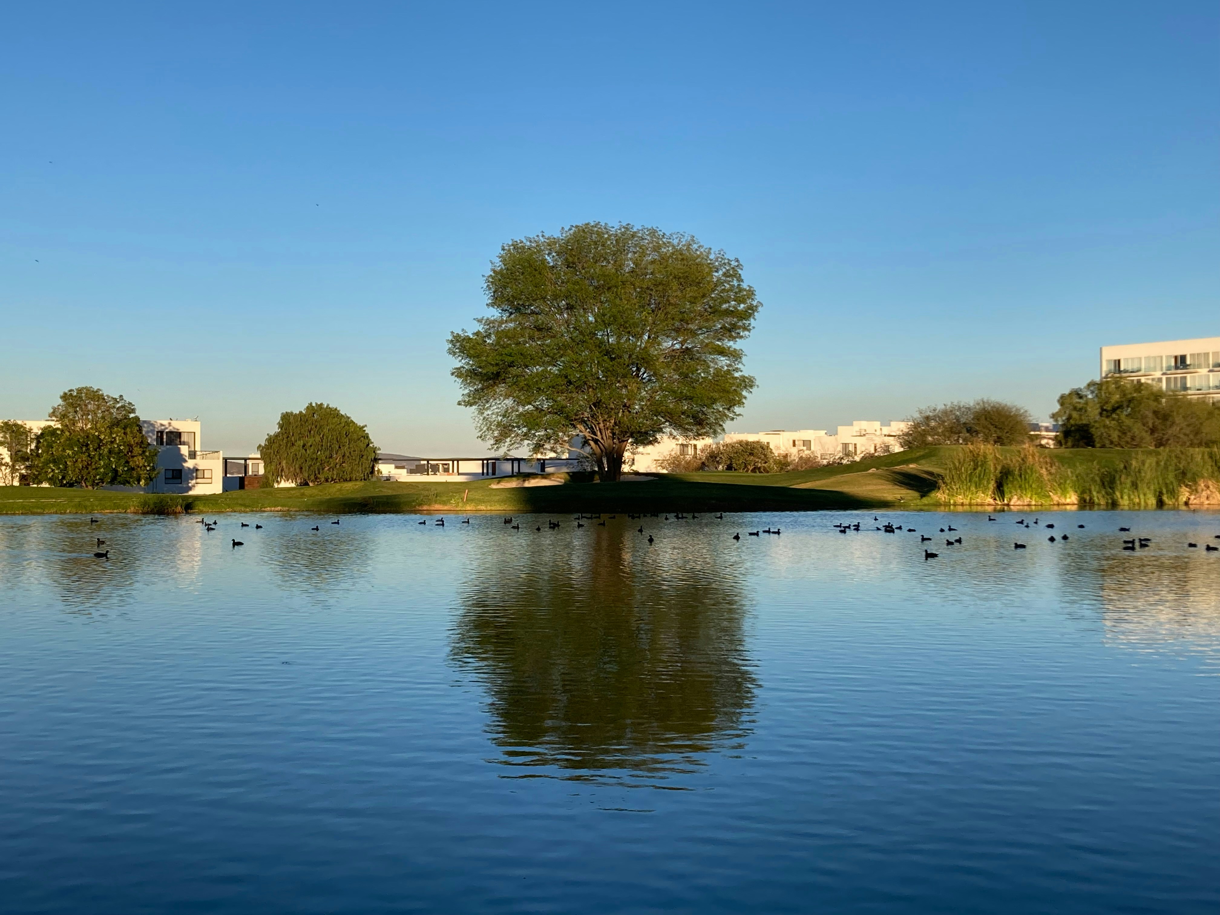 Photo by aguacates16