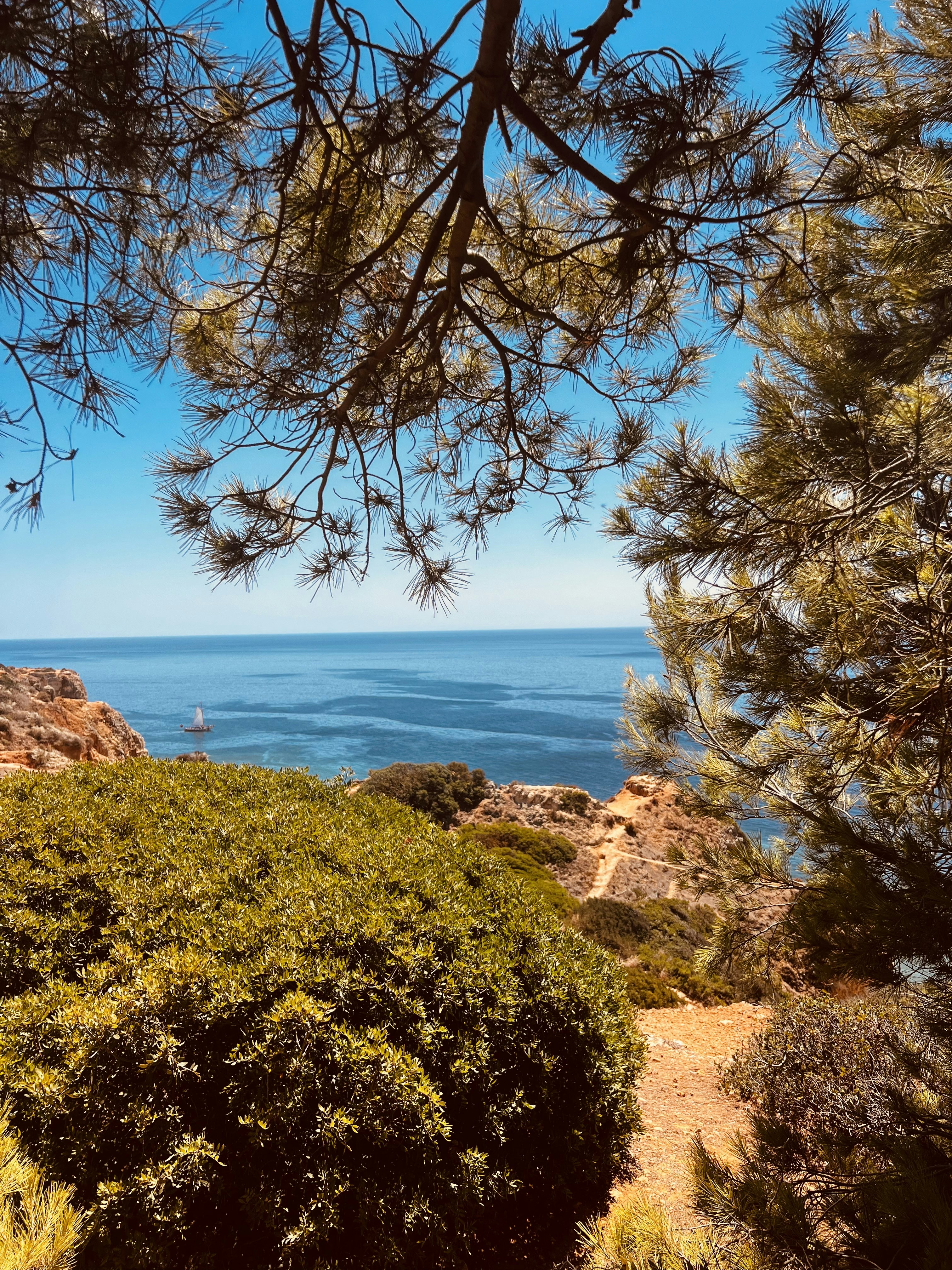 Photo by aalleekkssaa